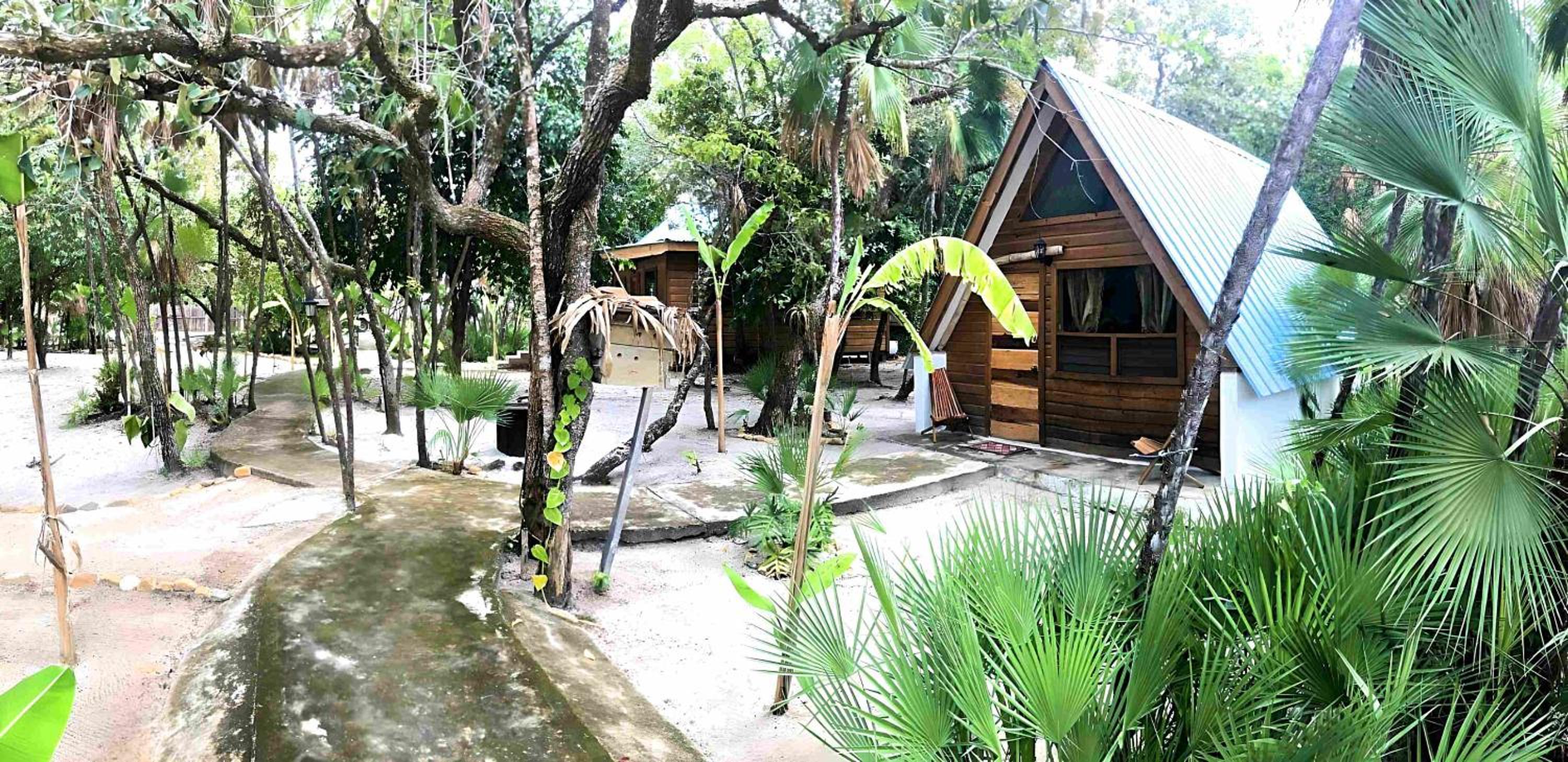 King Room with Garden View photo 2