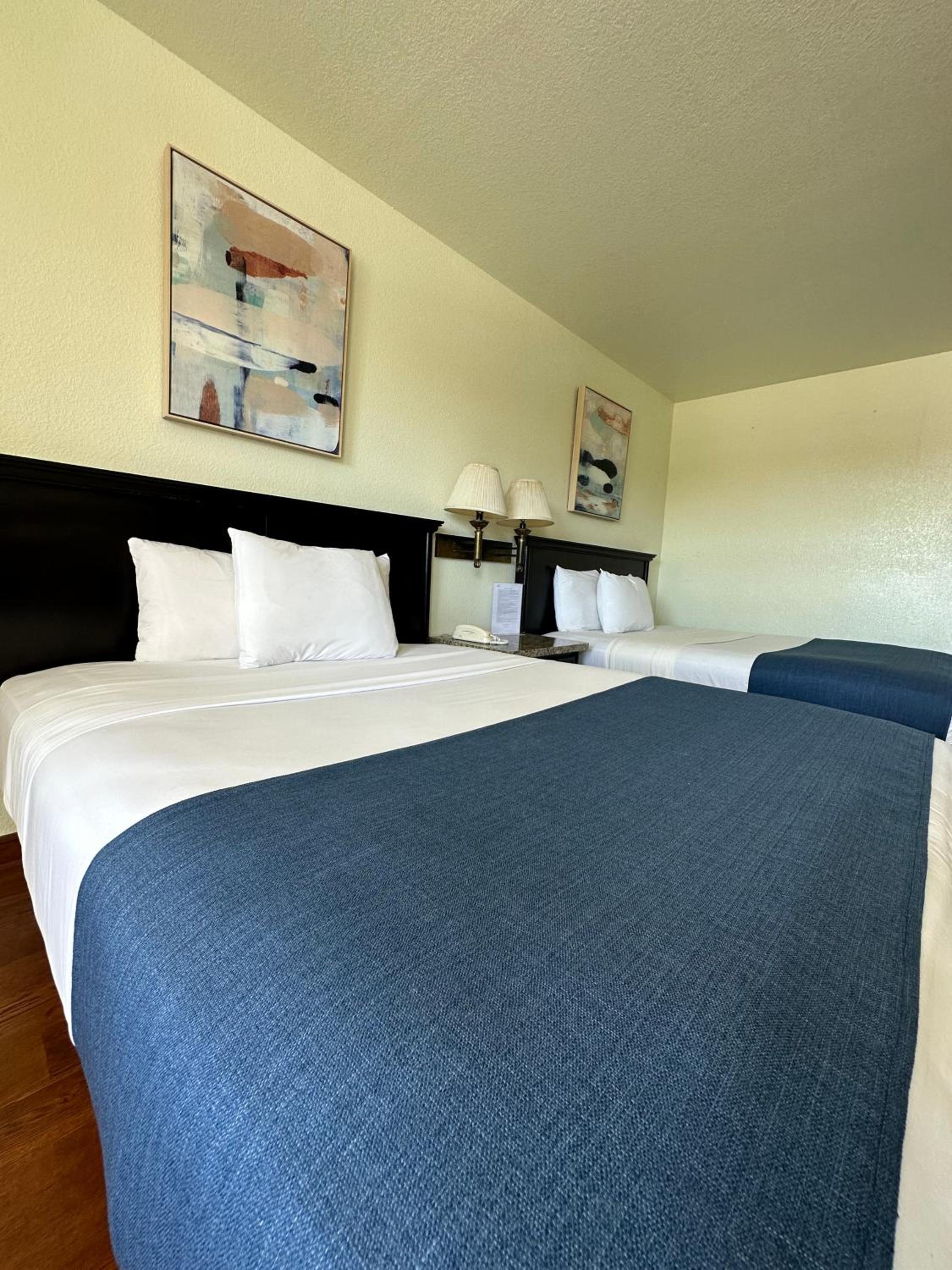 Double or Twin Room - Photo 2
