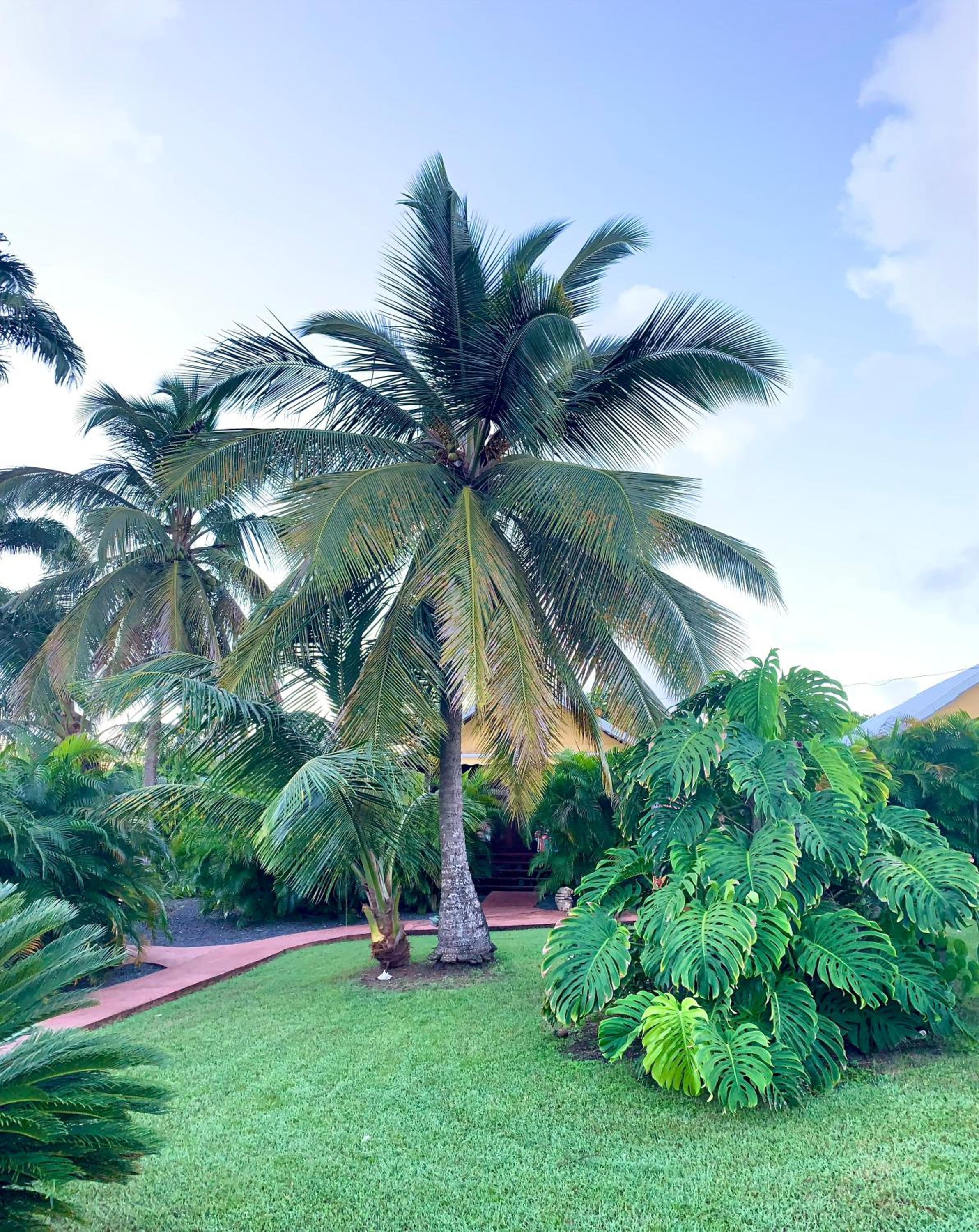 One-Bedroom Bungalow - Photo 4