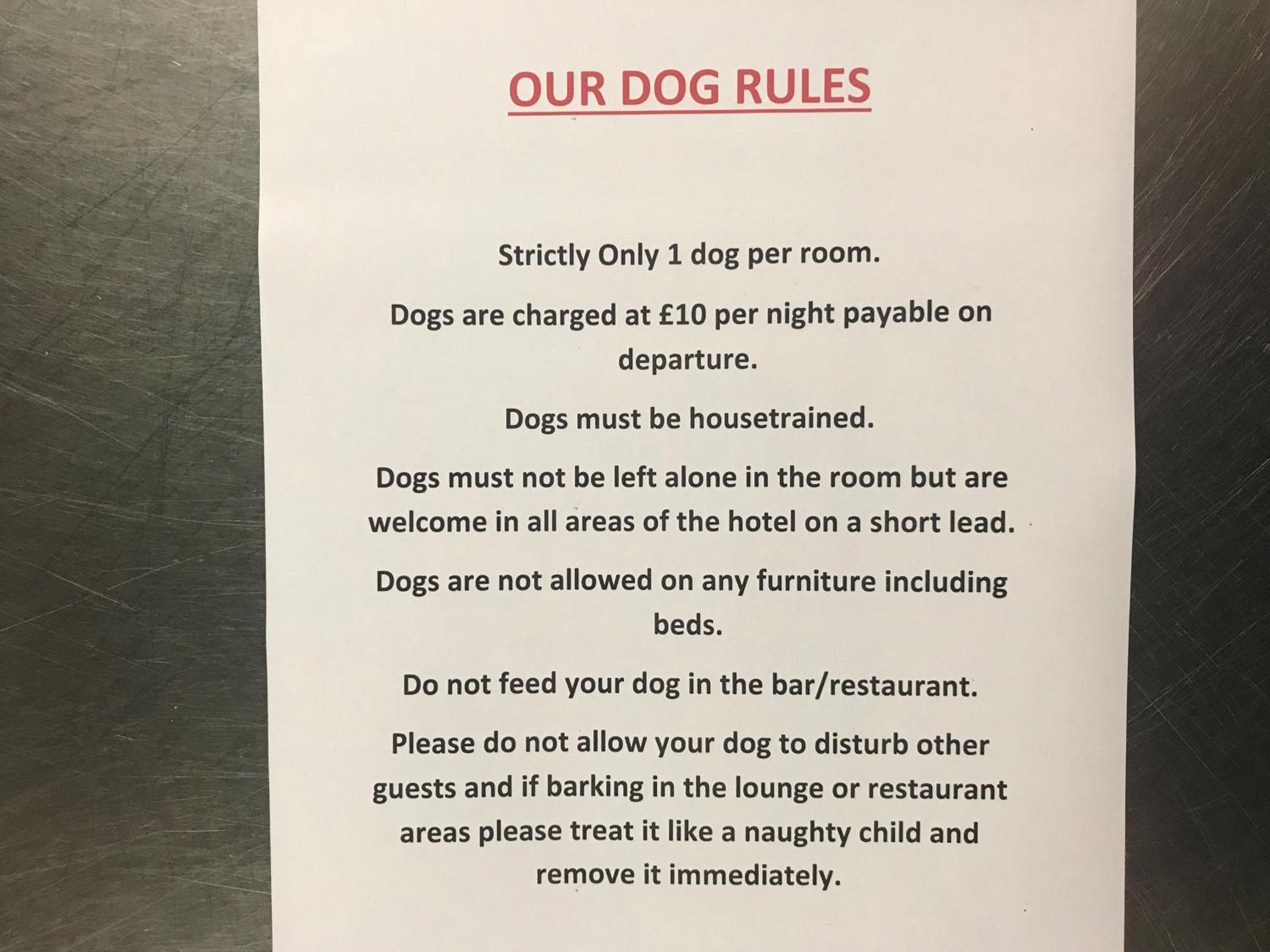 Small Twin Room- Ground floor - Dog Friendly  photo 3