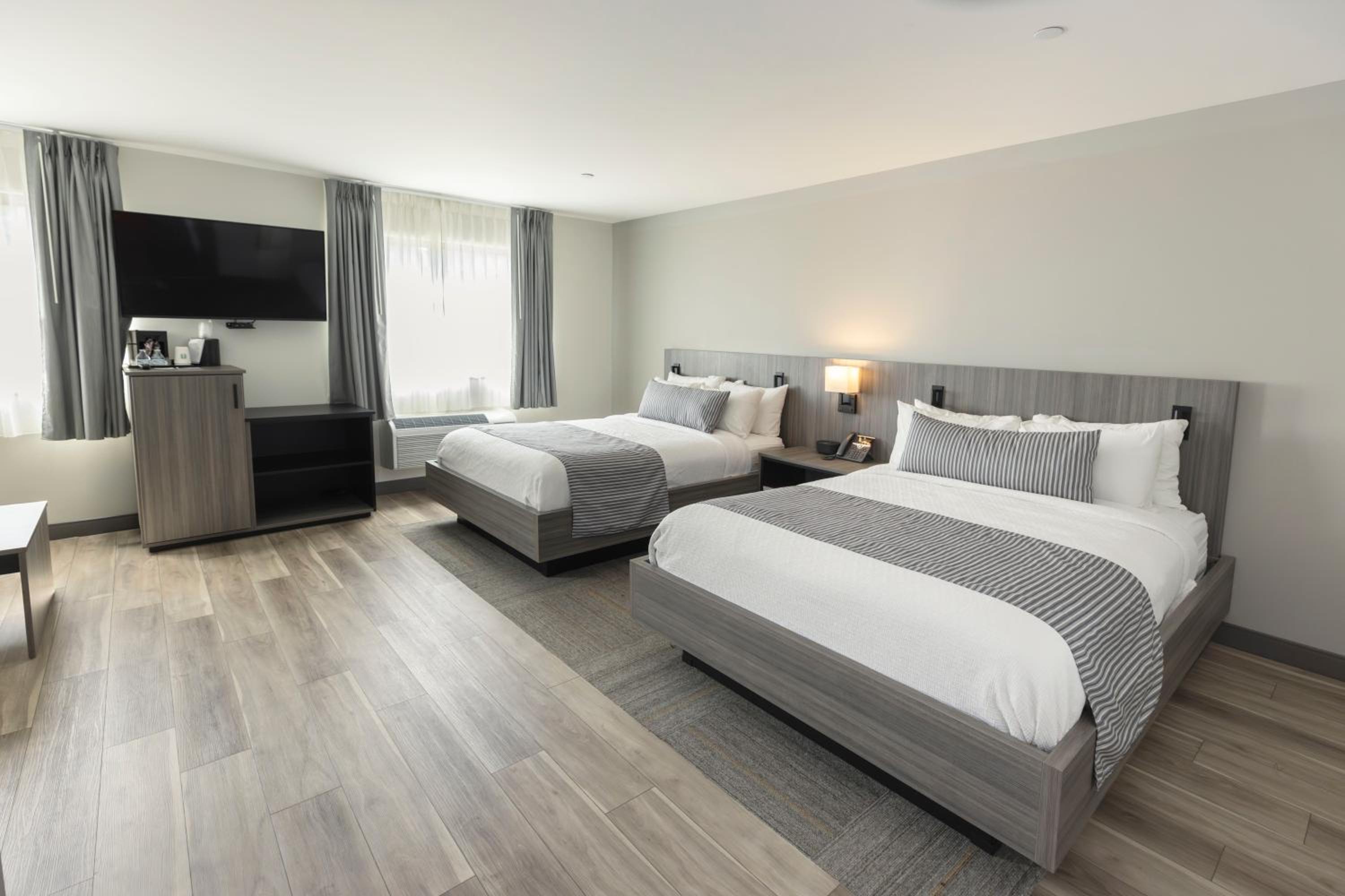 Standard Double Suite photo 1