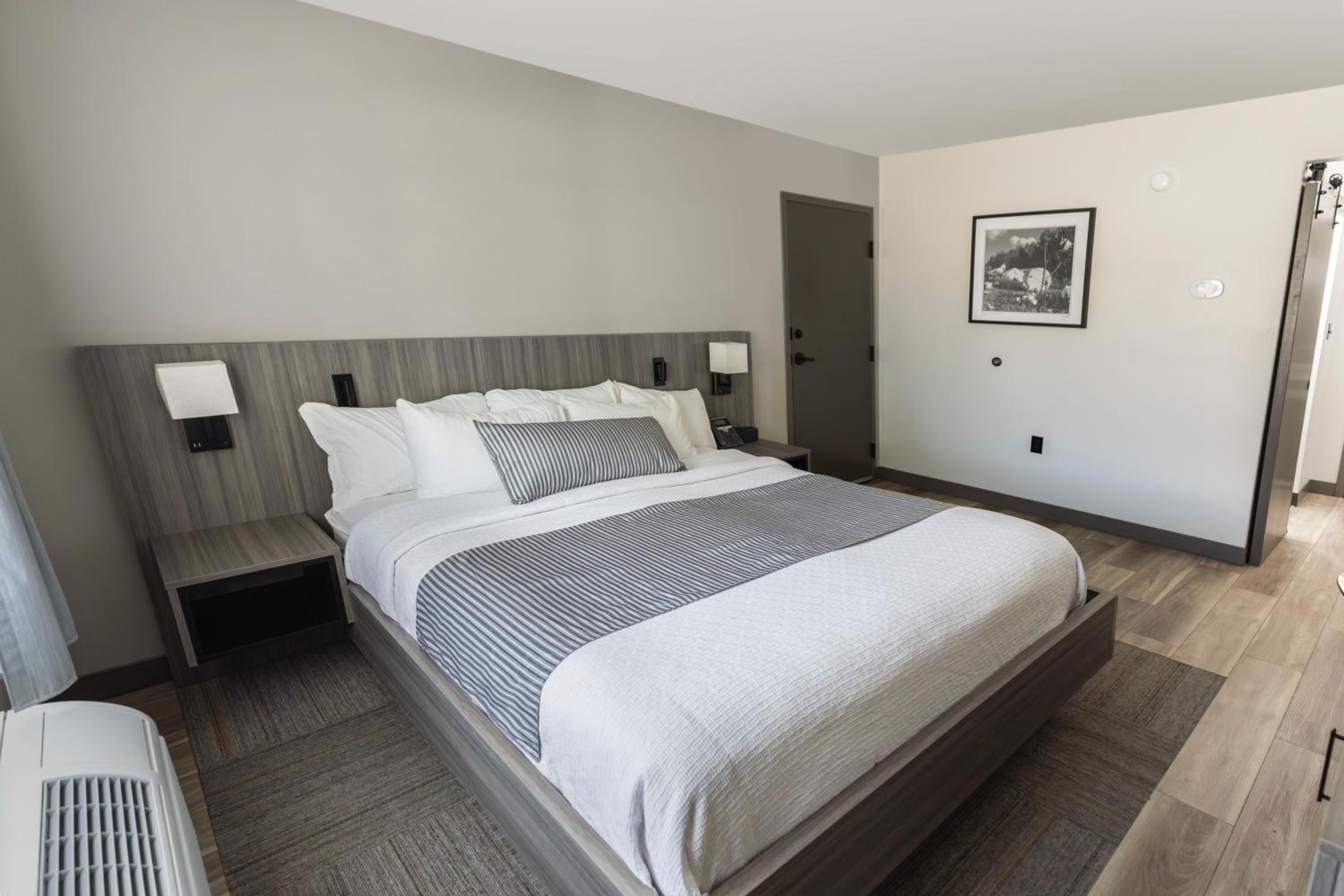 King Room photo 1