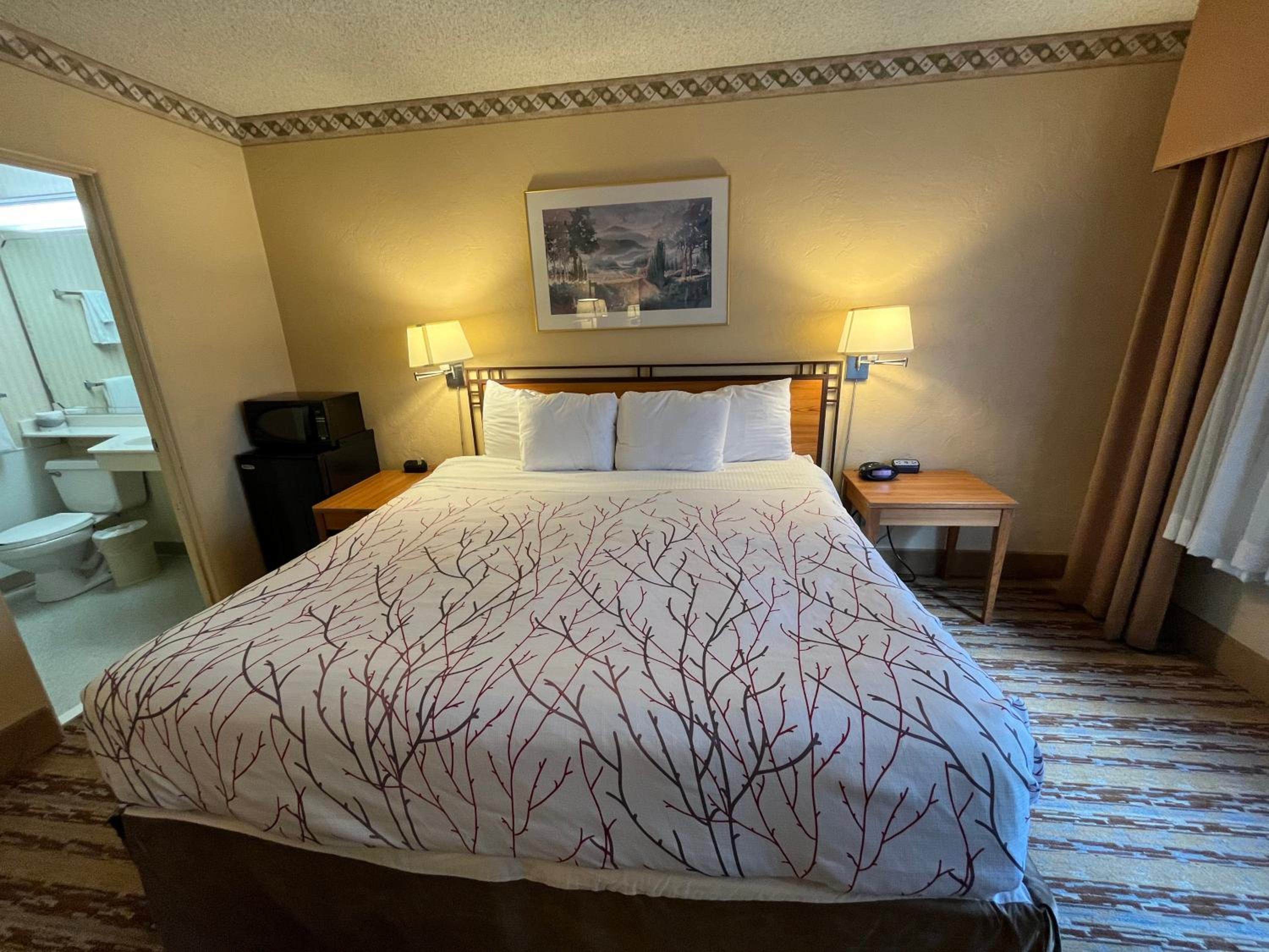 King Room with City View - Non-Smoking photo 2