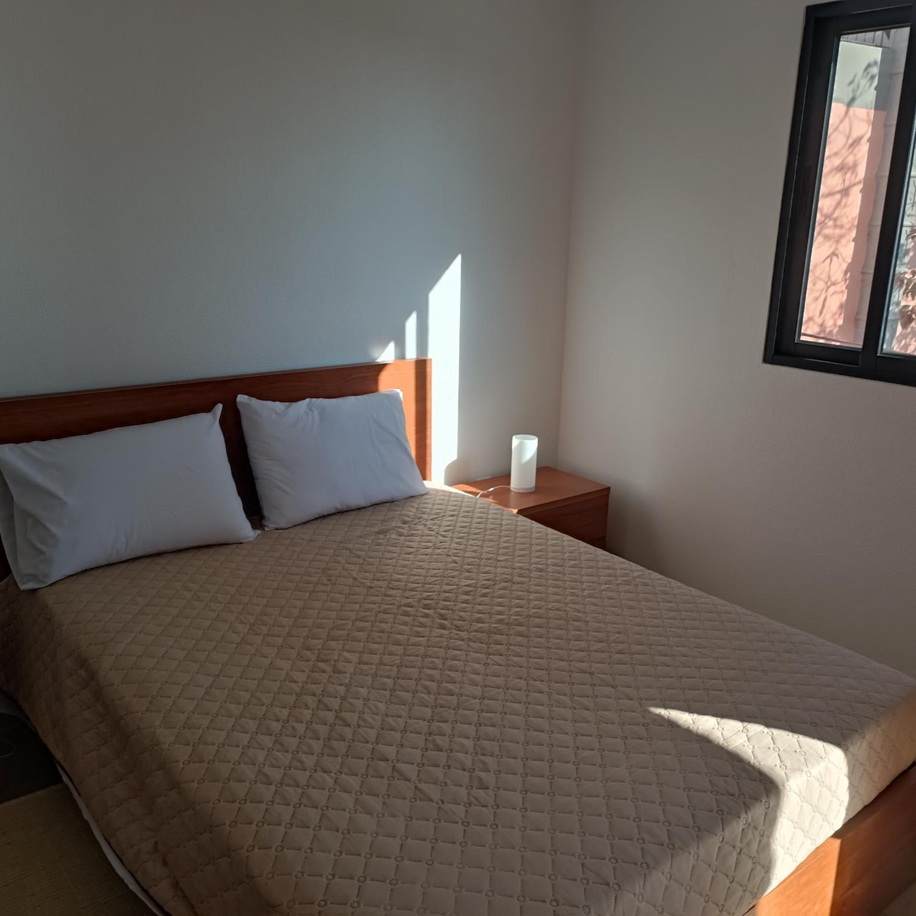 One-Bedroom Apartment photo 3