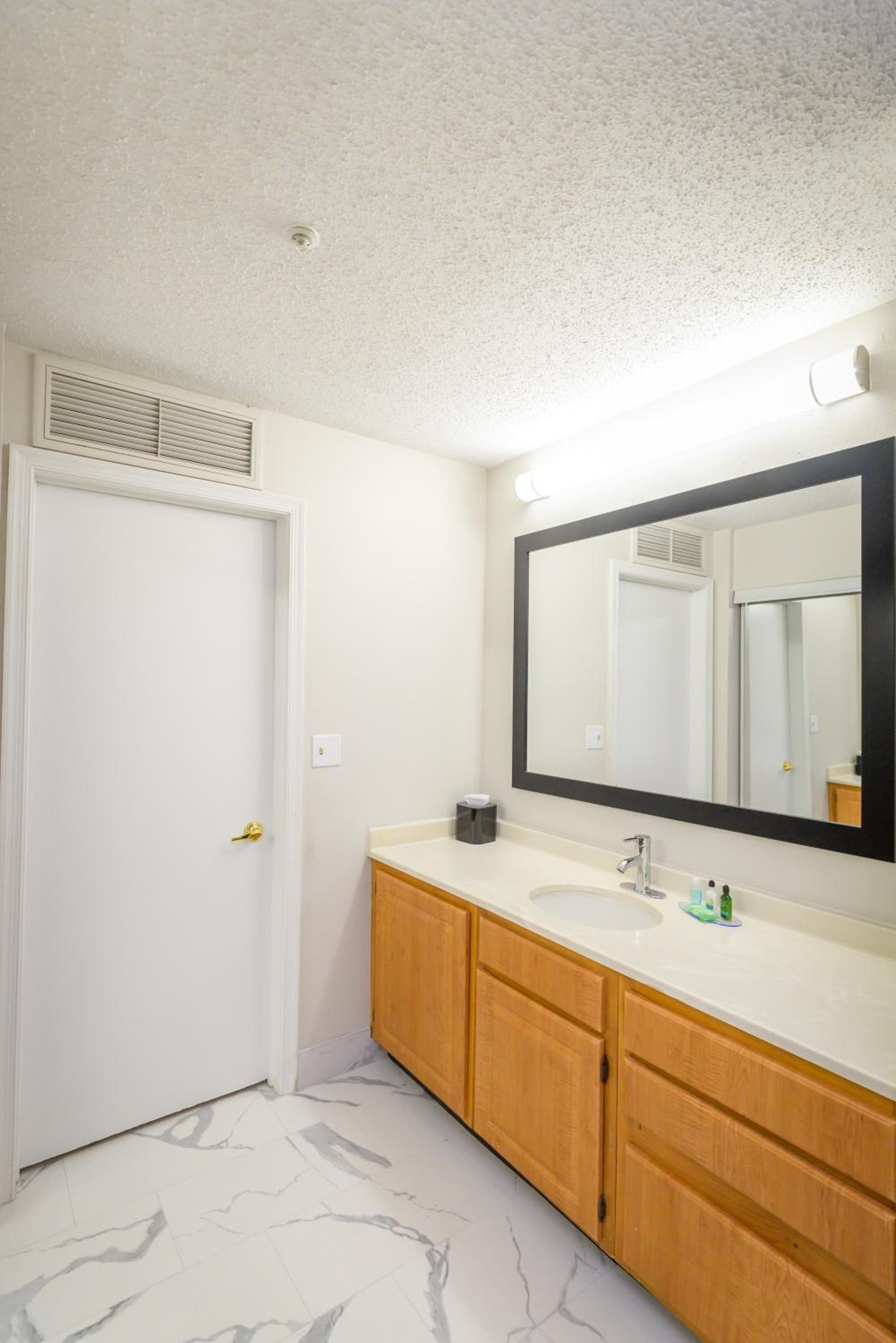 Deluxe Queen Suite - Photo 10