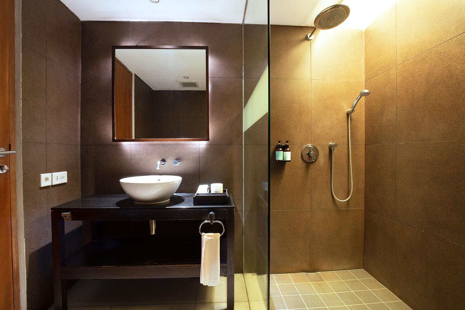 Deluxe Double or Twin Room photo 2