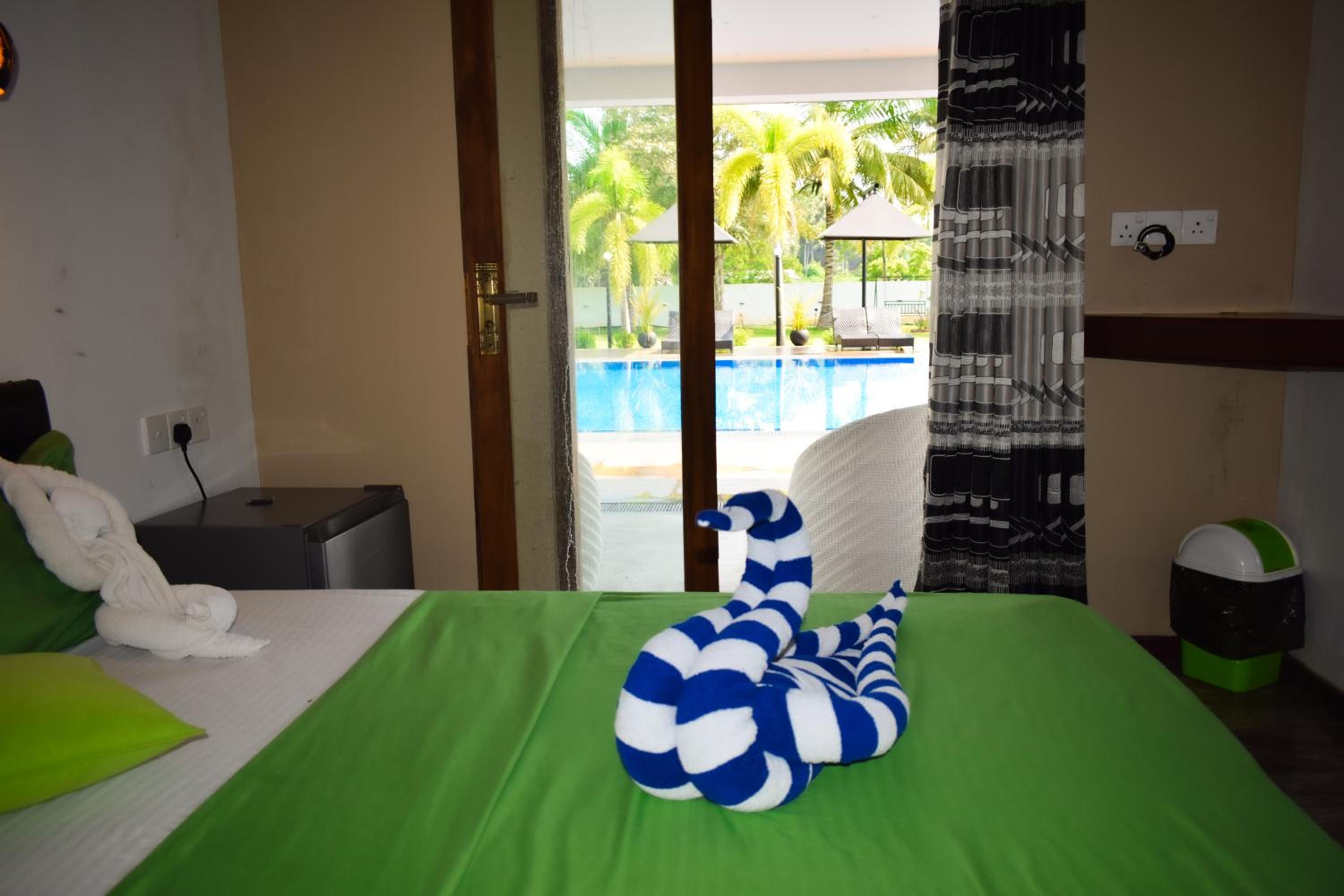 Double Room with Pool View photo 3