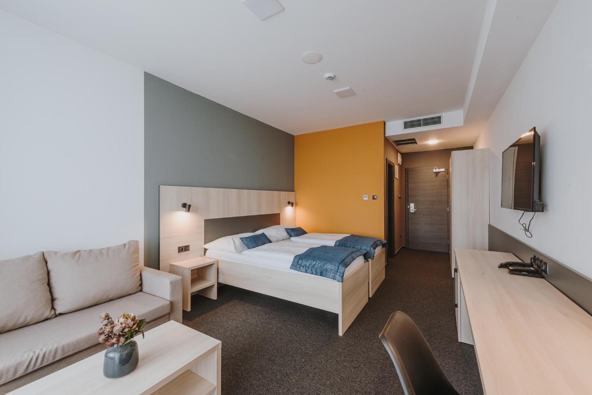 Deluxe Double or Twin Room photo 2