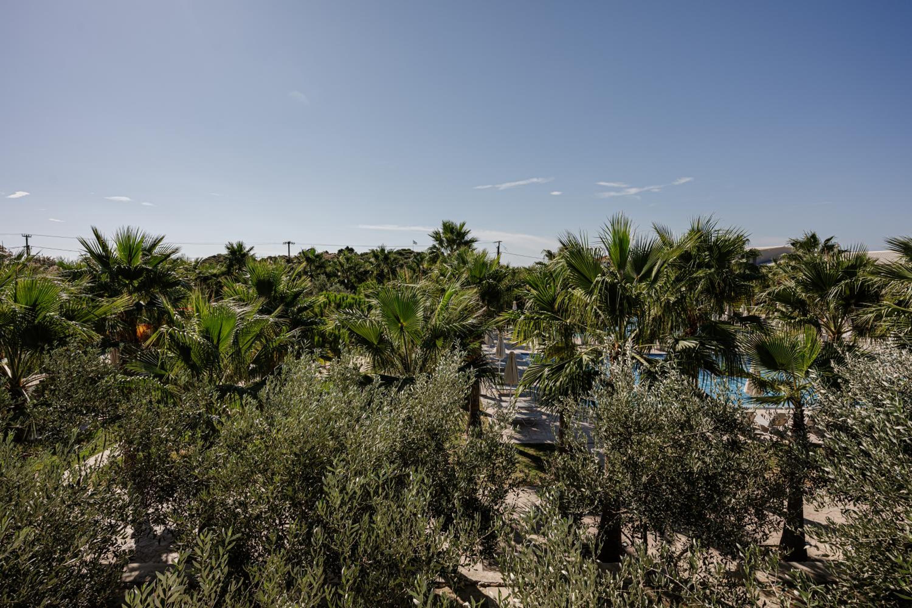 Studio with Pool View photo 3