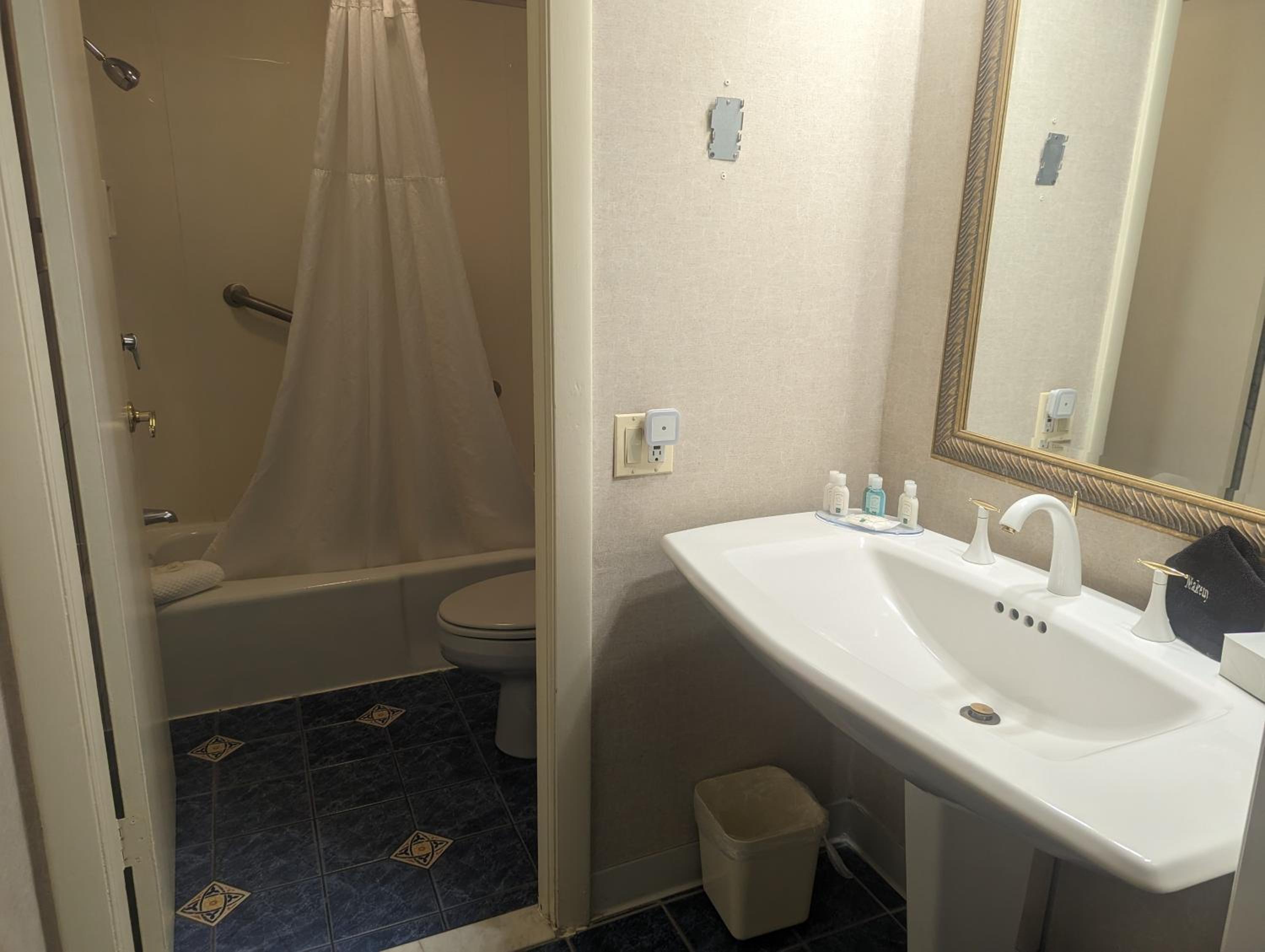 King Suite - Non-Smoking/Exterior Hall - Photo 3