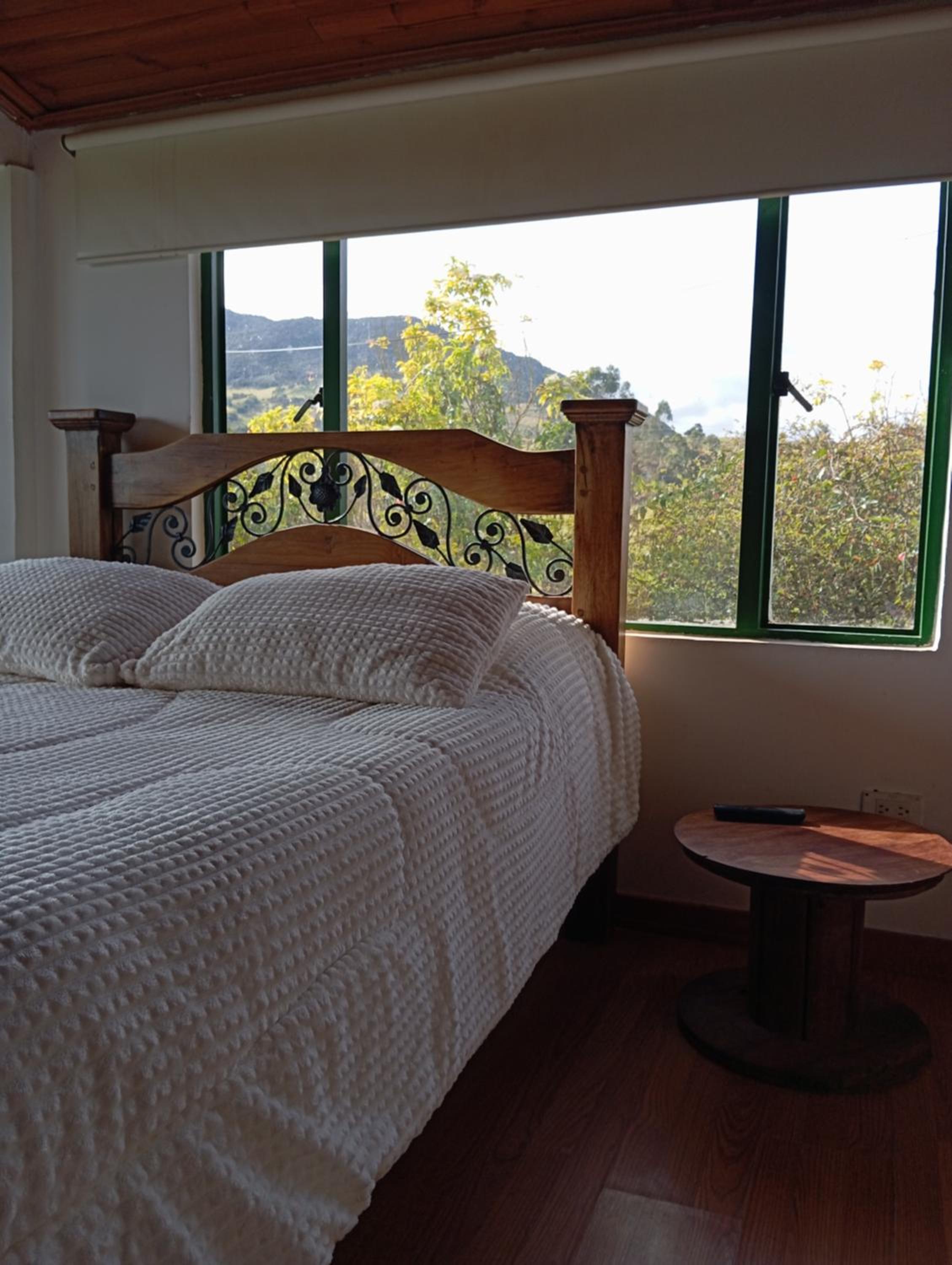 Double Room with Balcony photo 1