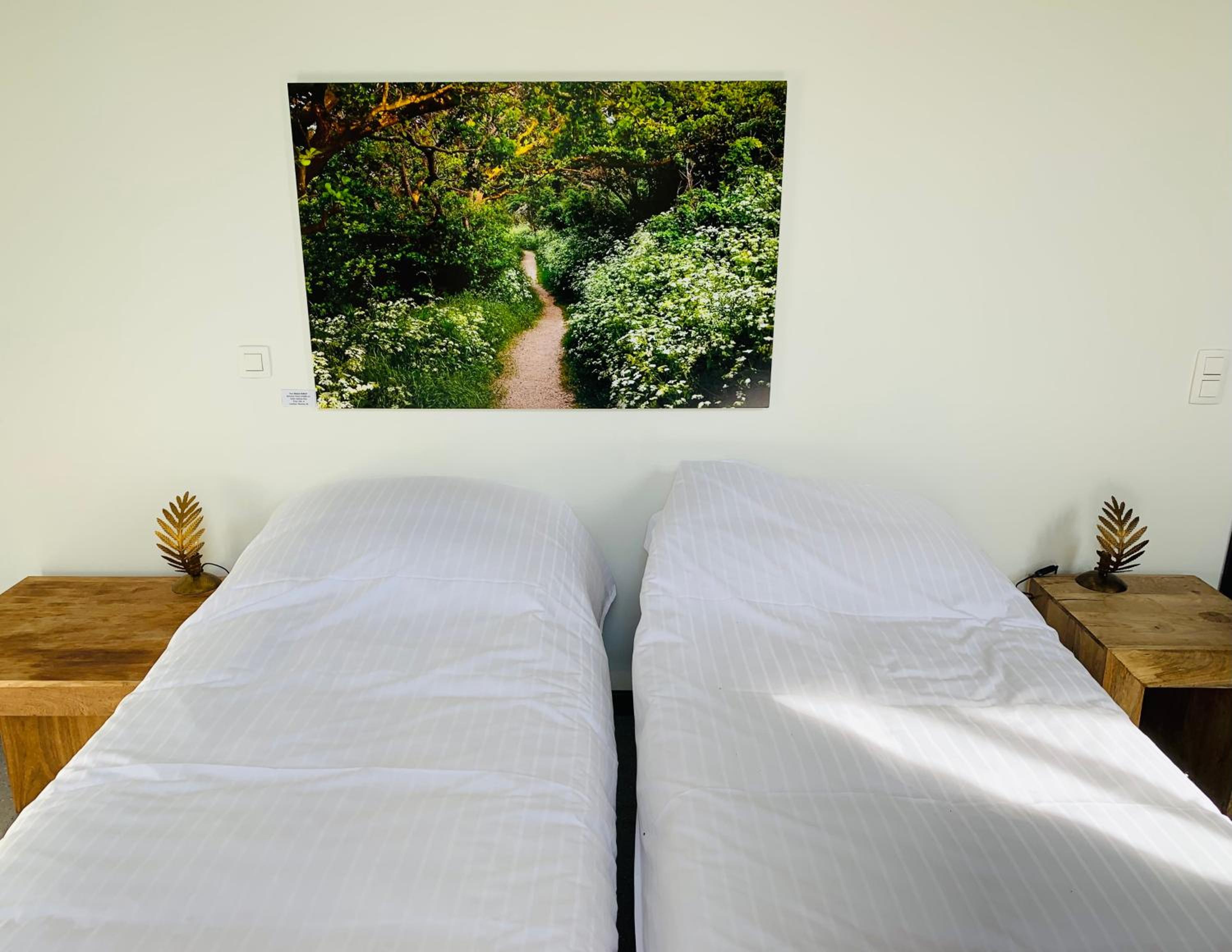 Budget Twin Room photo 2