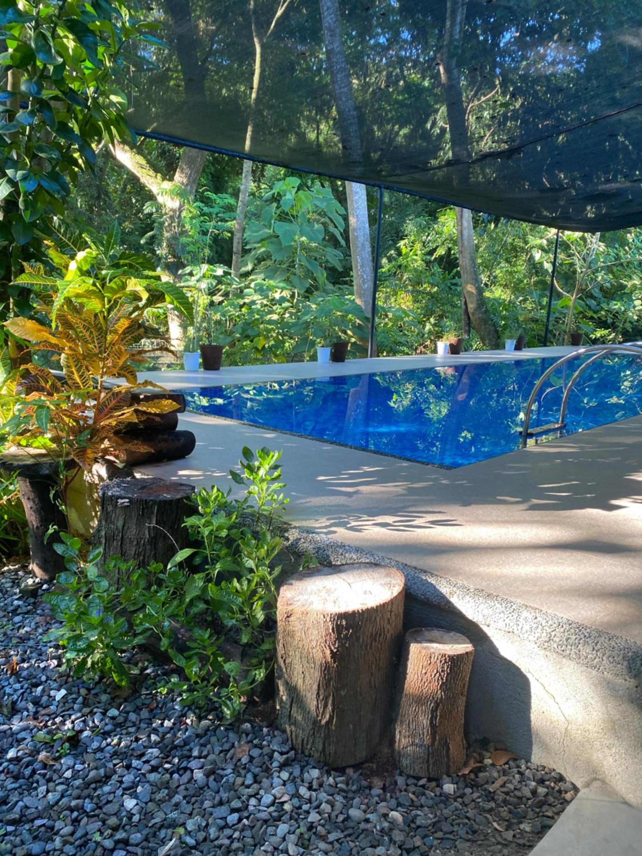Double Room with Pool View photo 3