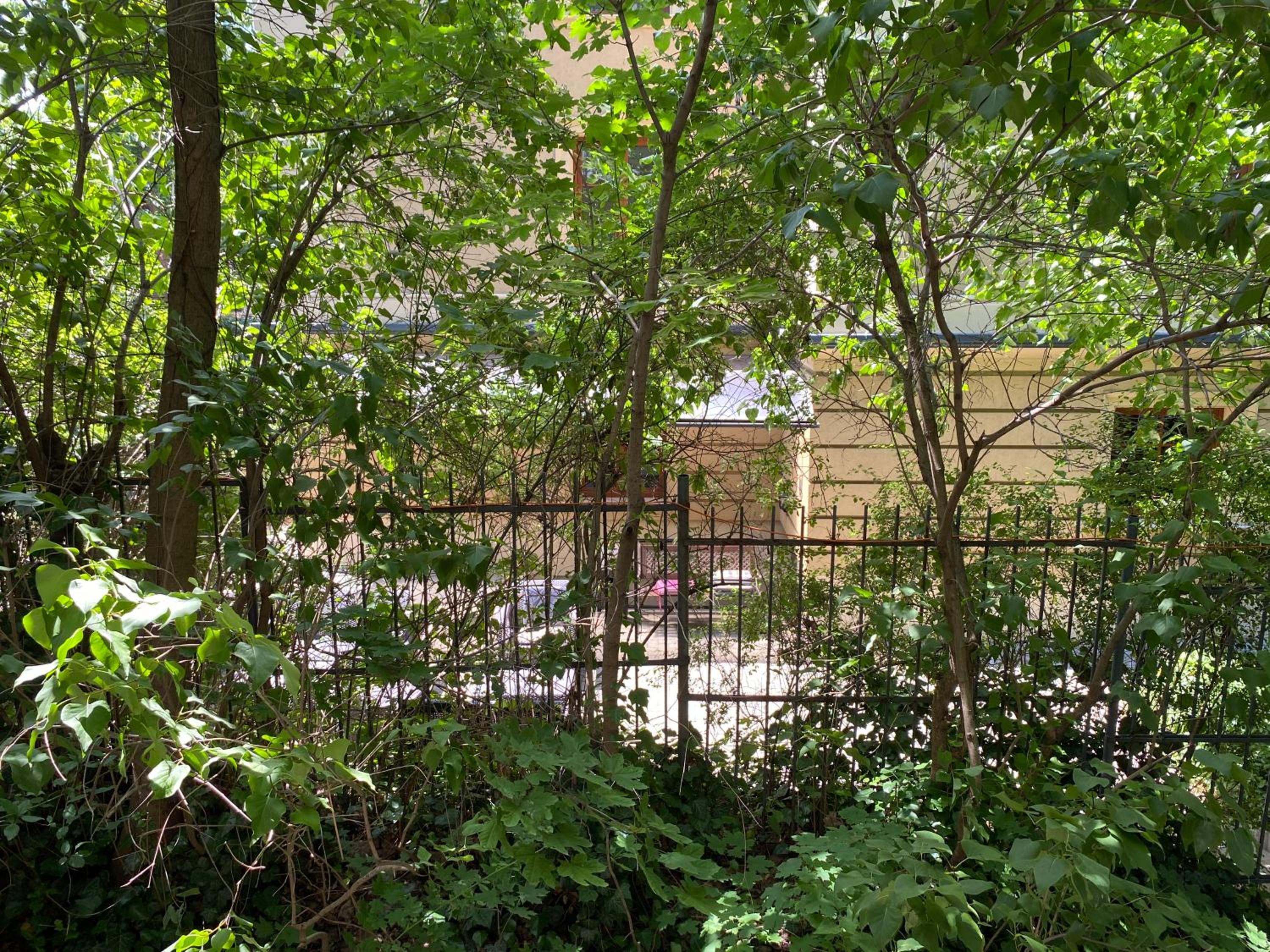 Apartment with Balcony - Photo 11