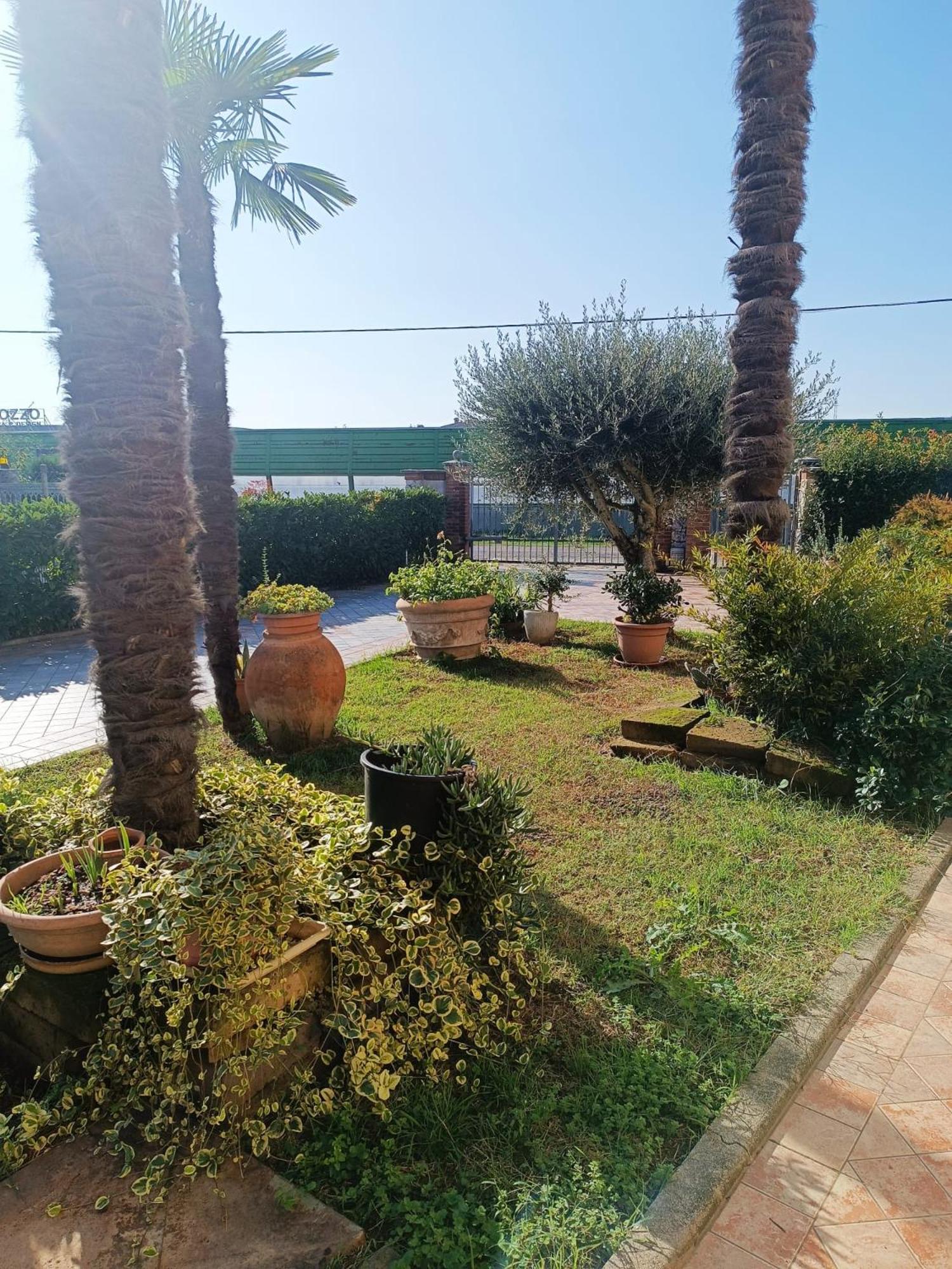 Double Room with Garden View photo 3