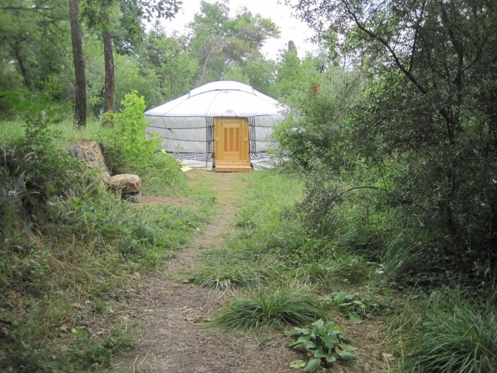 Yurt n°2 photo 3