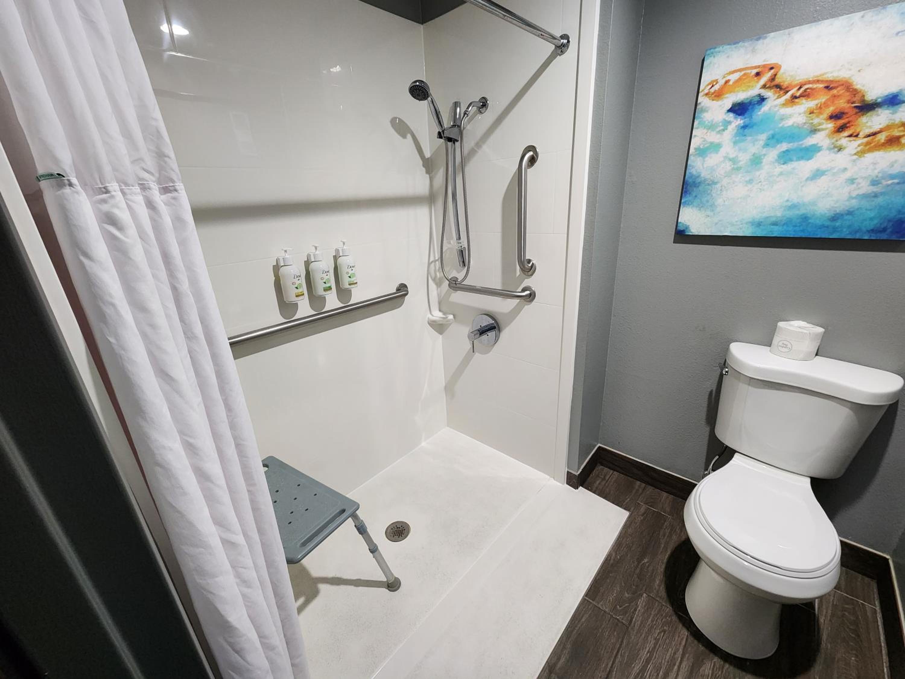 King Room with Roll-in Shower - Mobility Access/Non-Smoking - Photo 5