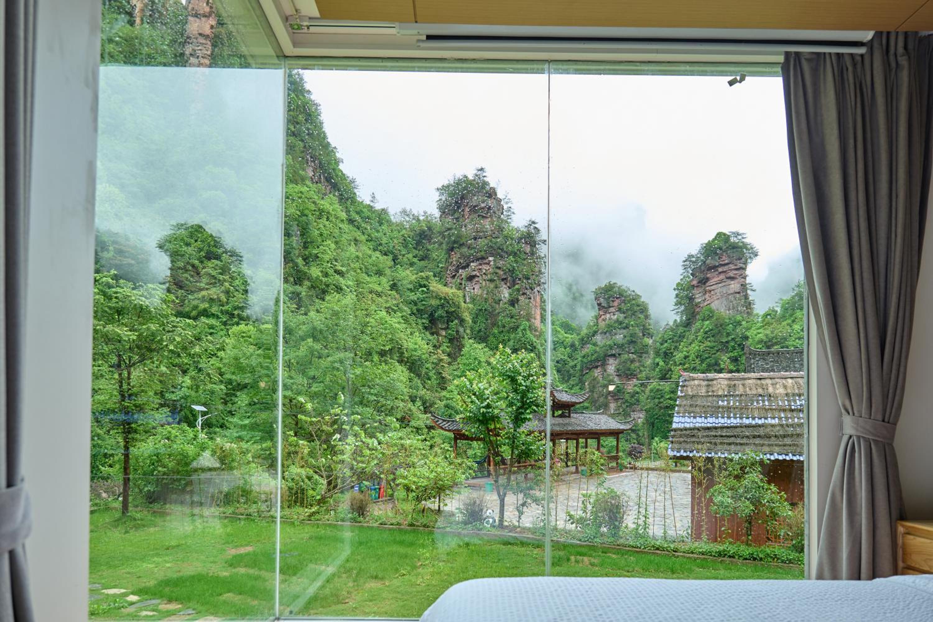 Drizzle photo 3