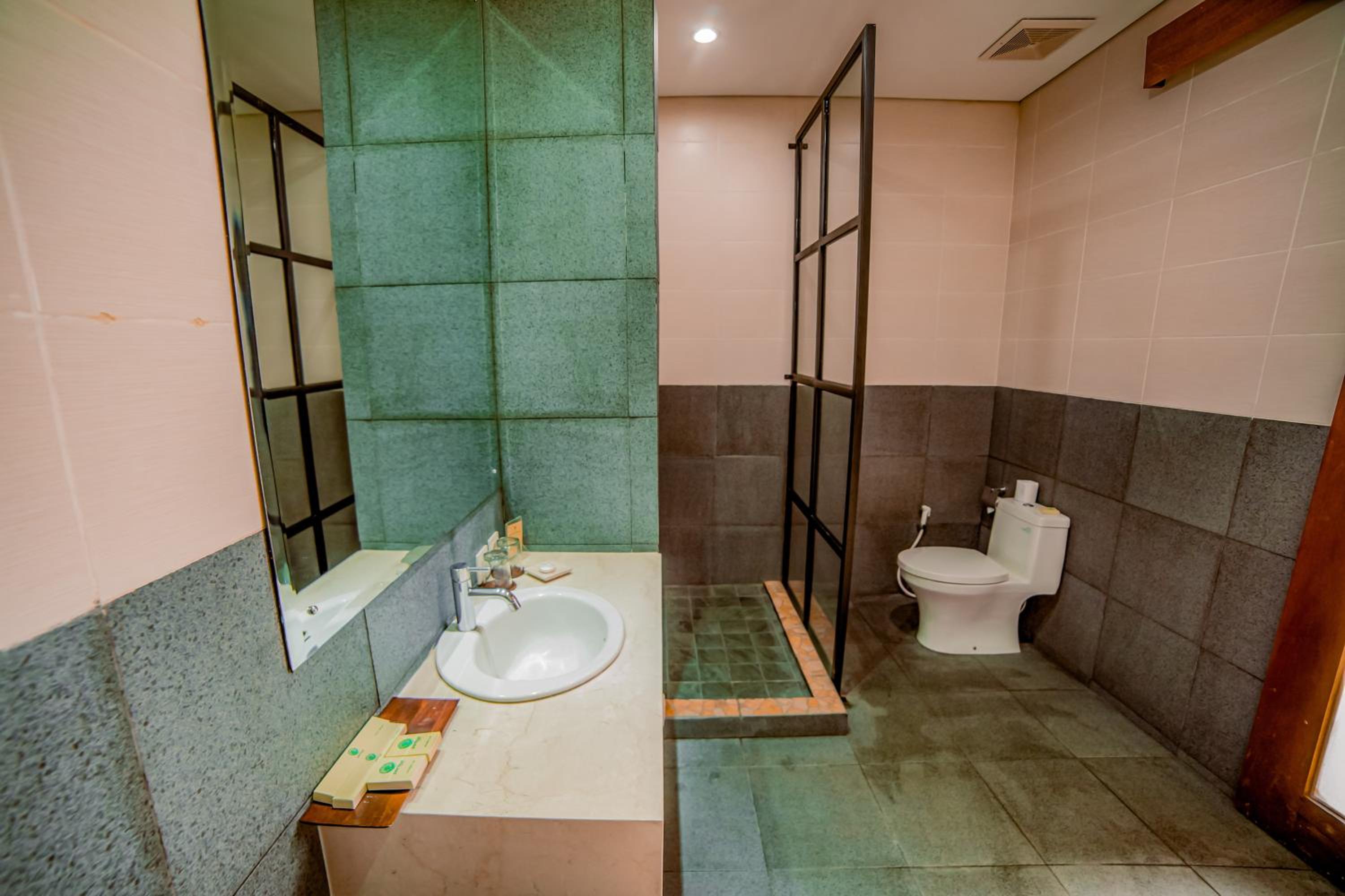 Premier Room photo 2