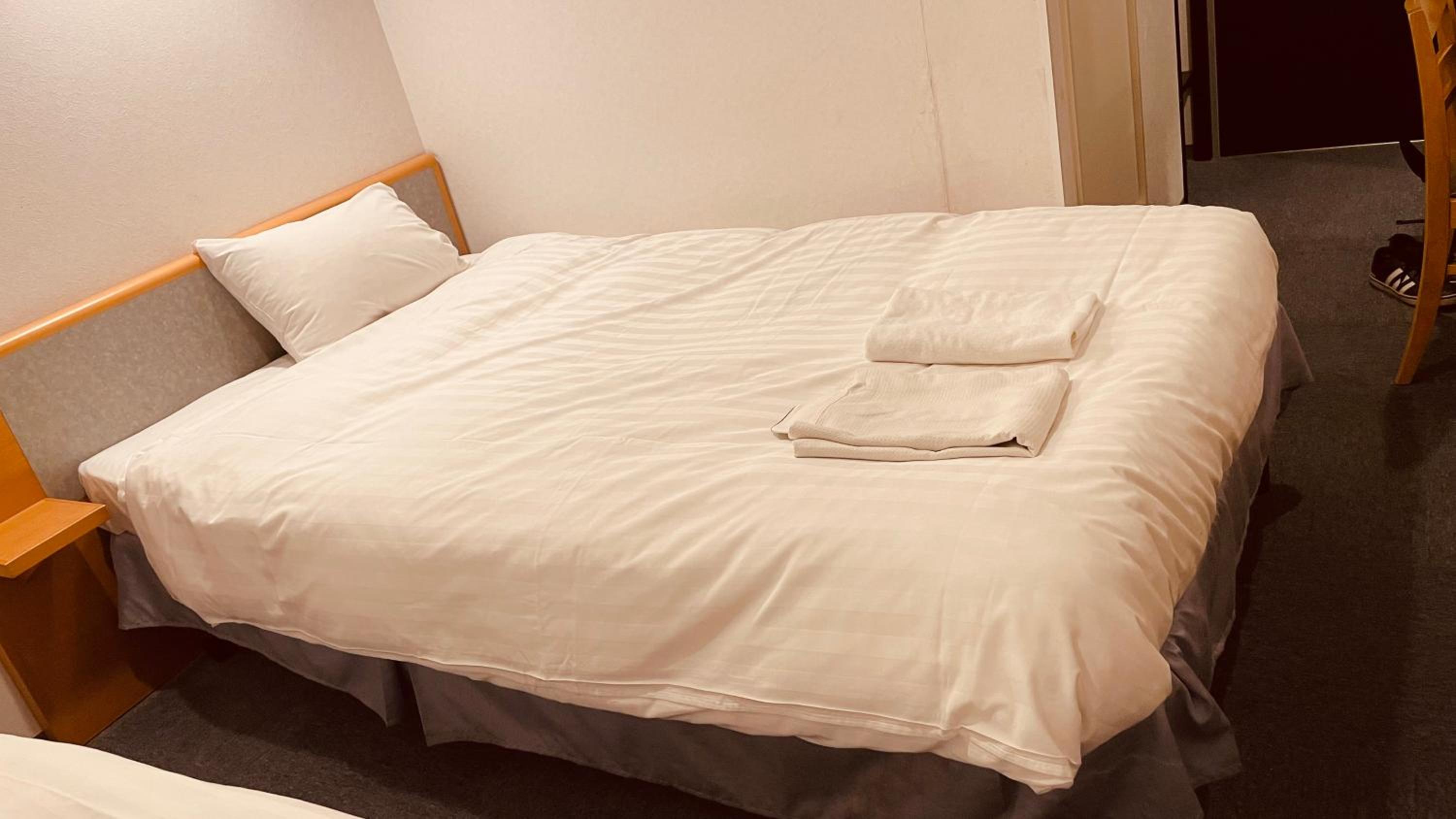 Standard Double Room with Fan photo 1
