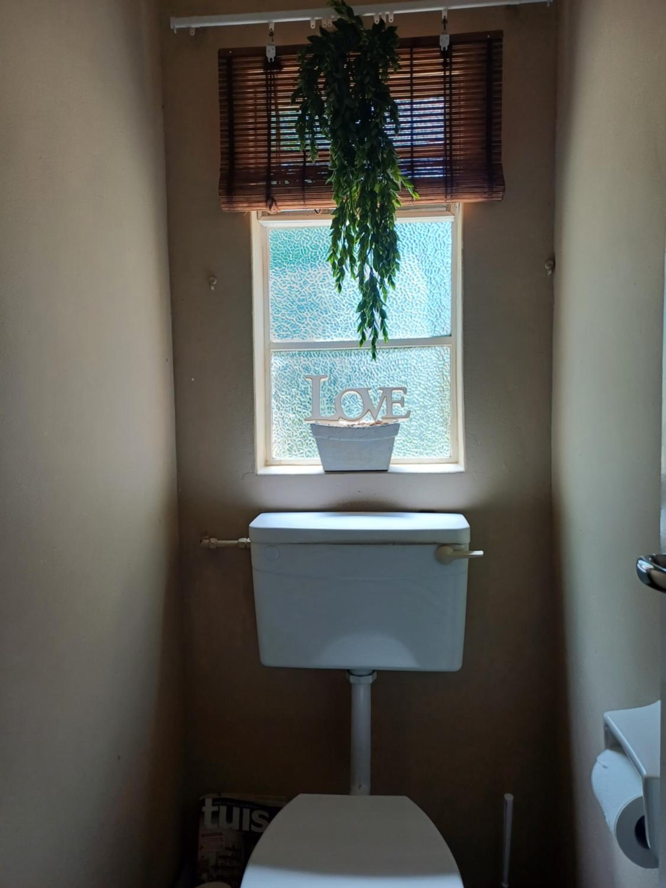Studio with Garden View photo 2