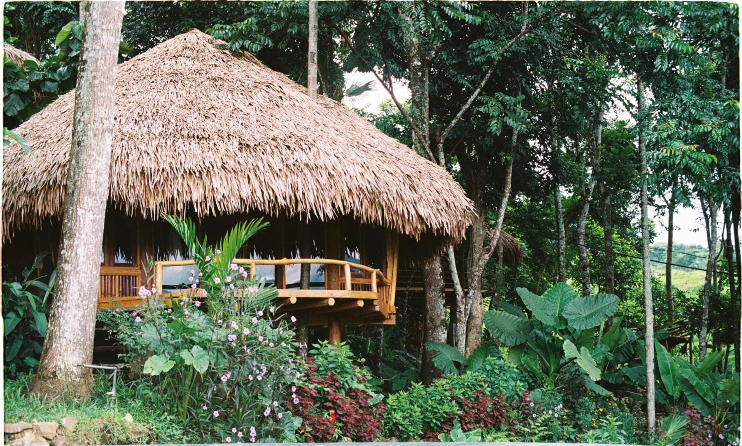 Bungalow photo 3