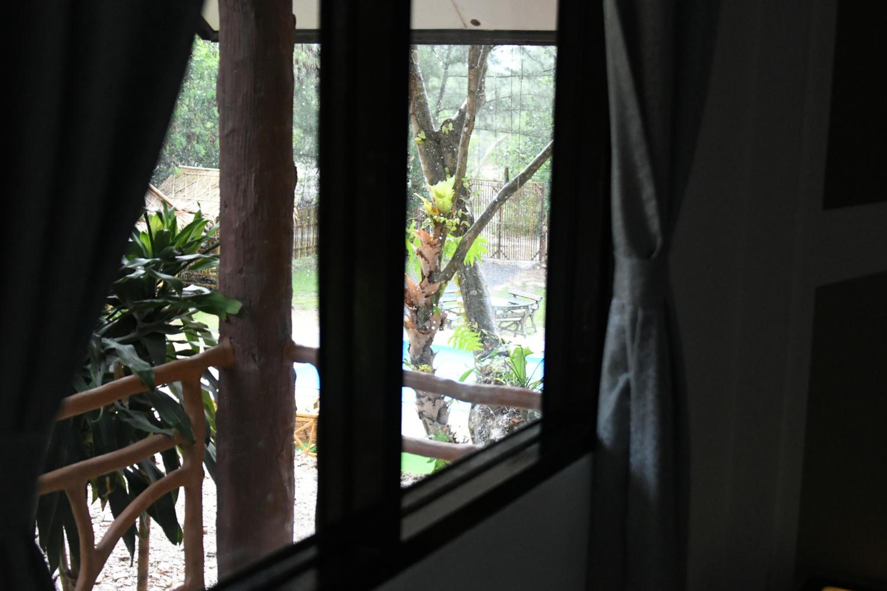 Studio Bungalow with Pool View photo 3