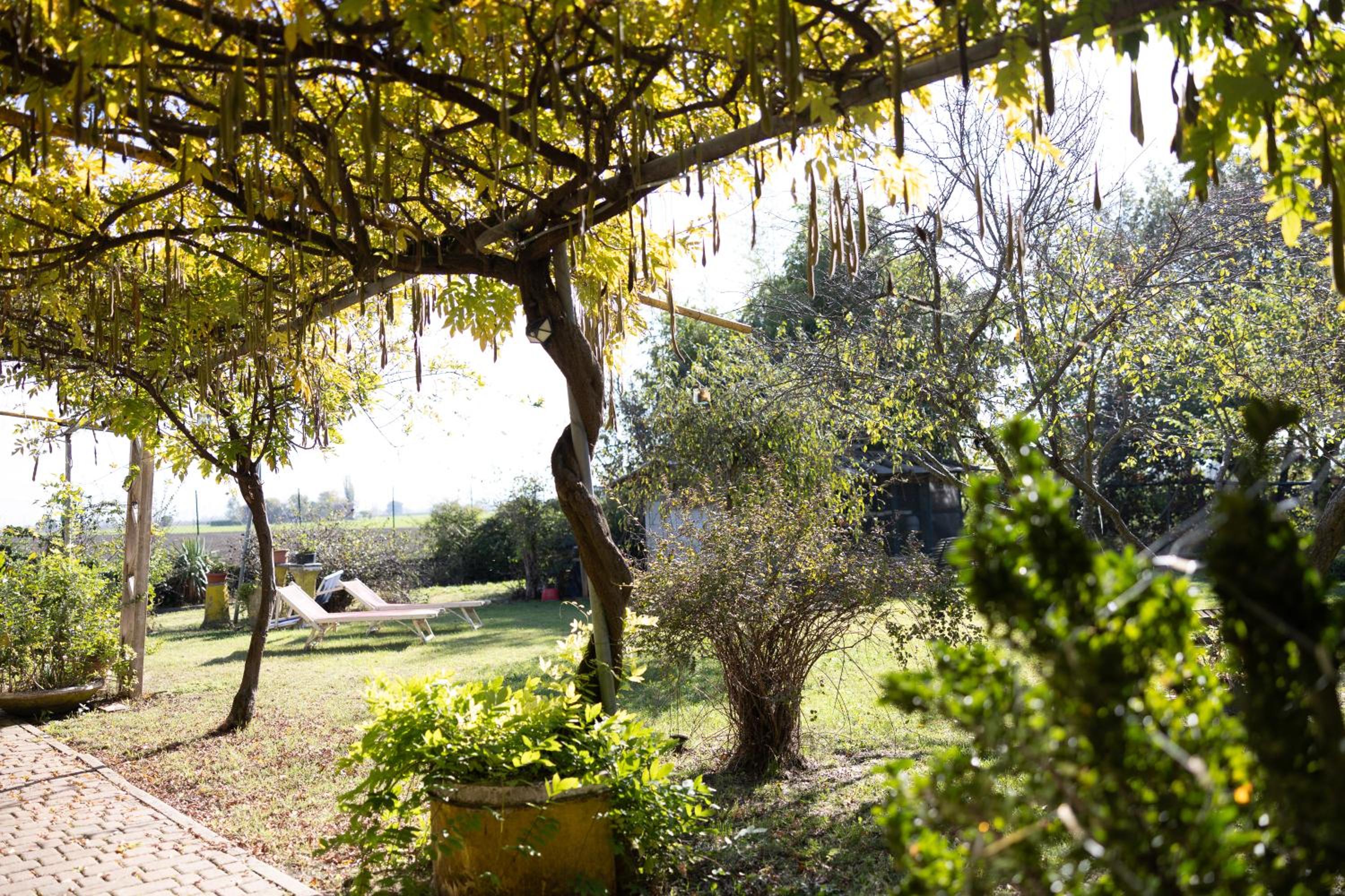 Acetaia Malagoli Daniele i B&B, Zdjęcie 8