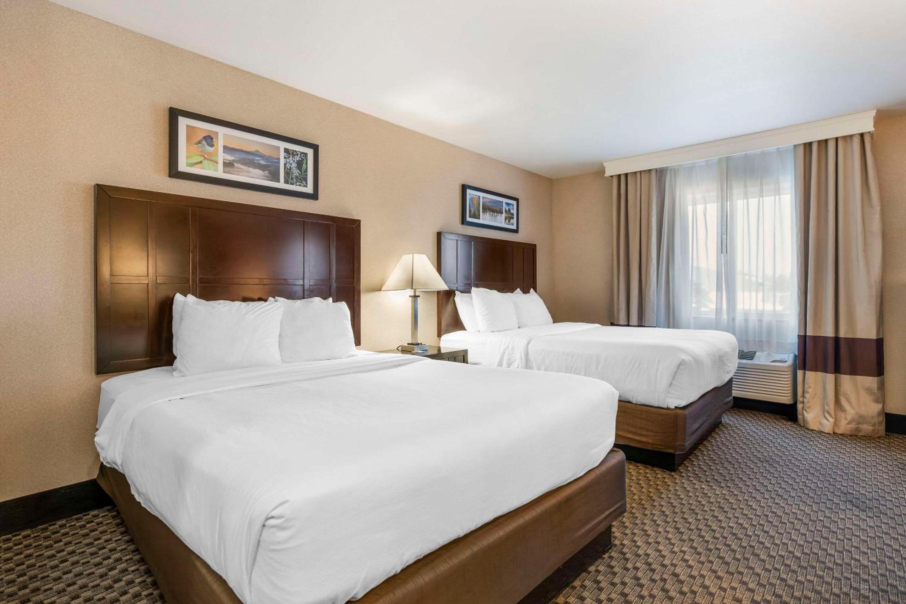 Queen Room with Two Queen Beds - Non-Smoking - Photo 3