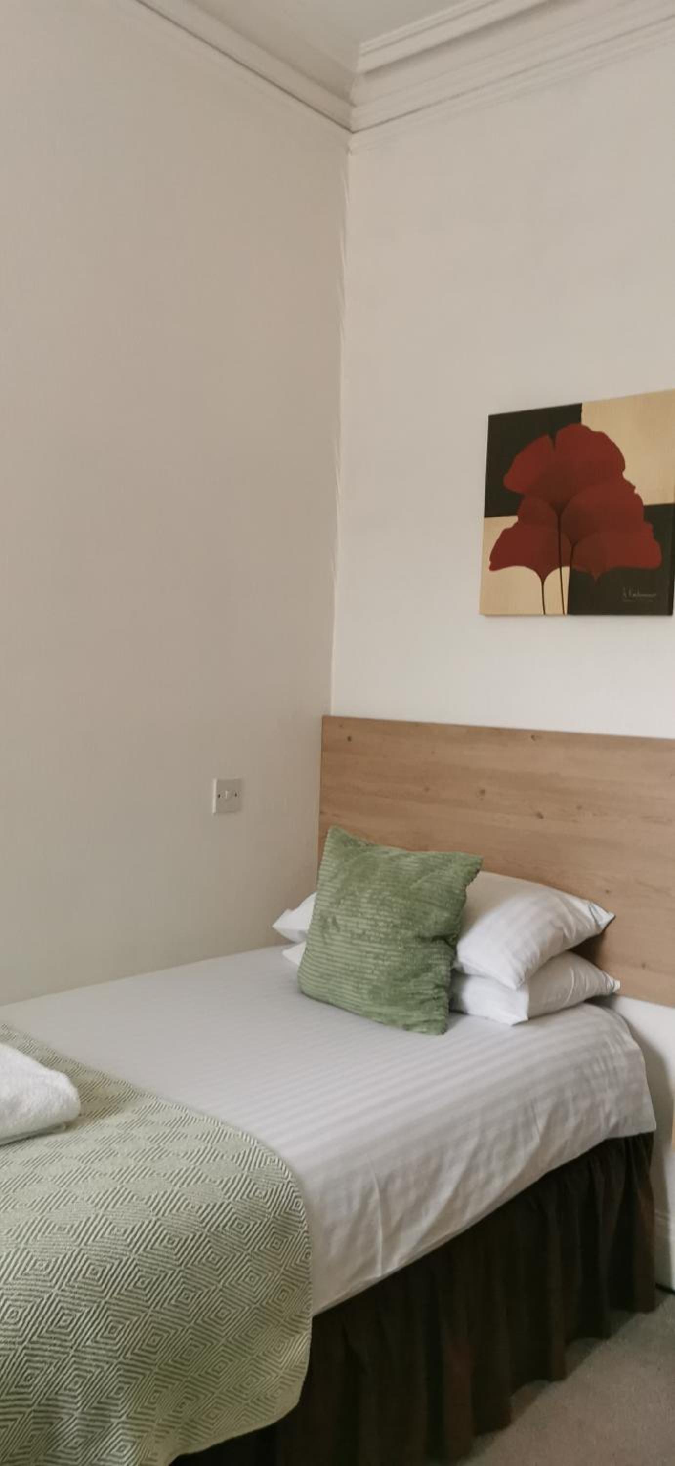 Large Single Room photo 3