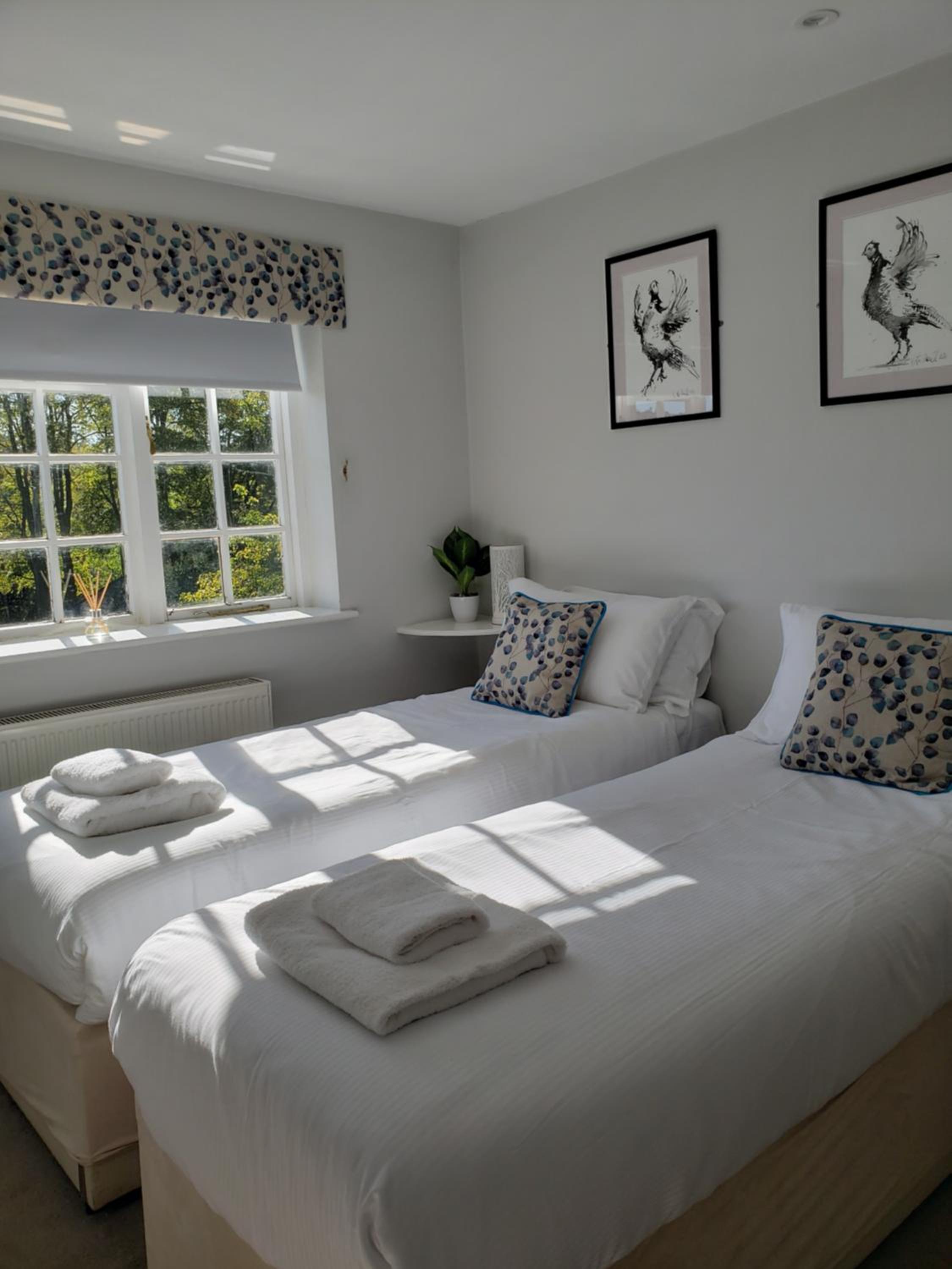 Double or Twin Room photo 3
