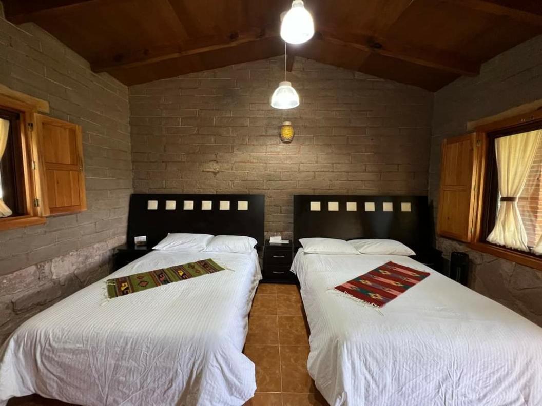 Twin Room photo 1