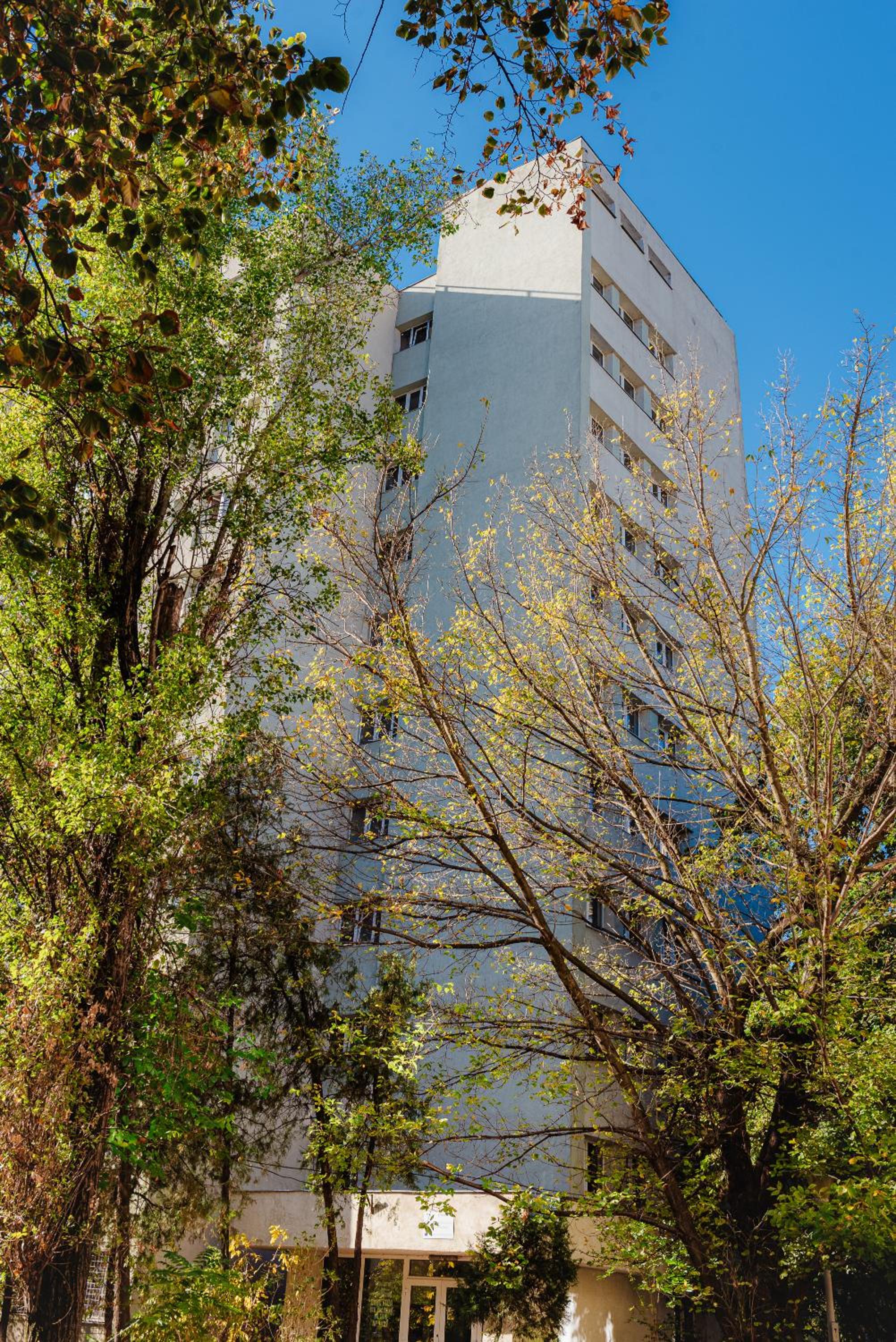 Studio - Photo 9