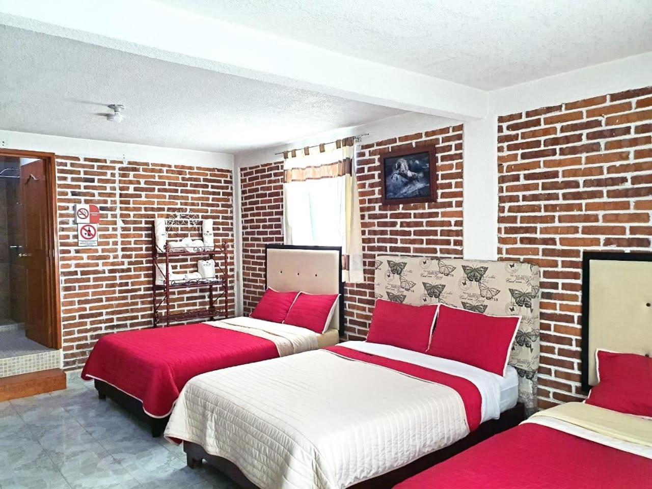 Family Room photo 3