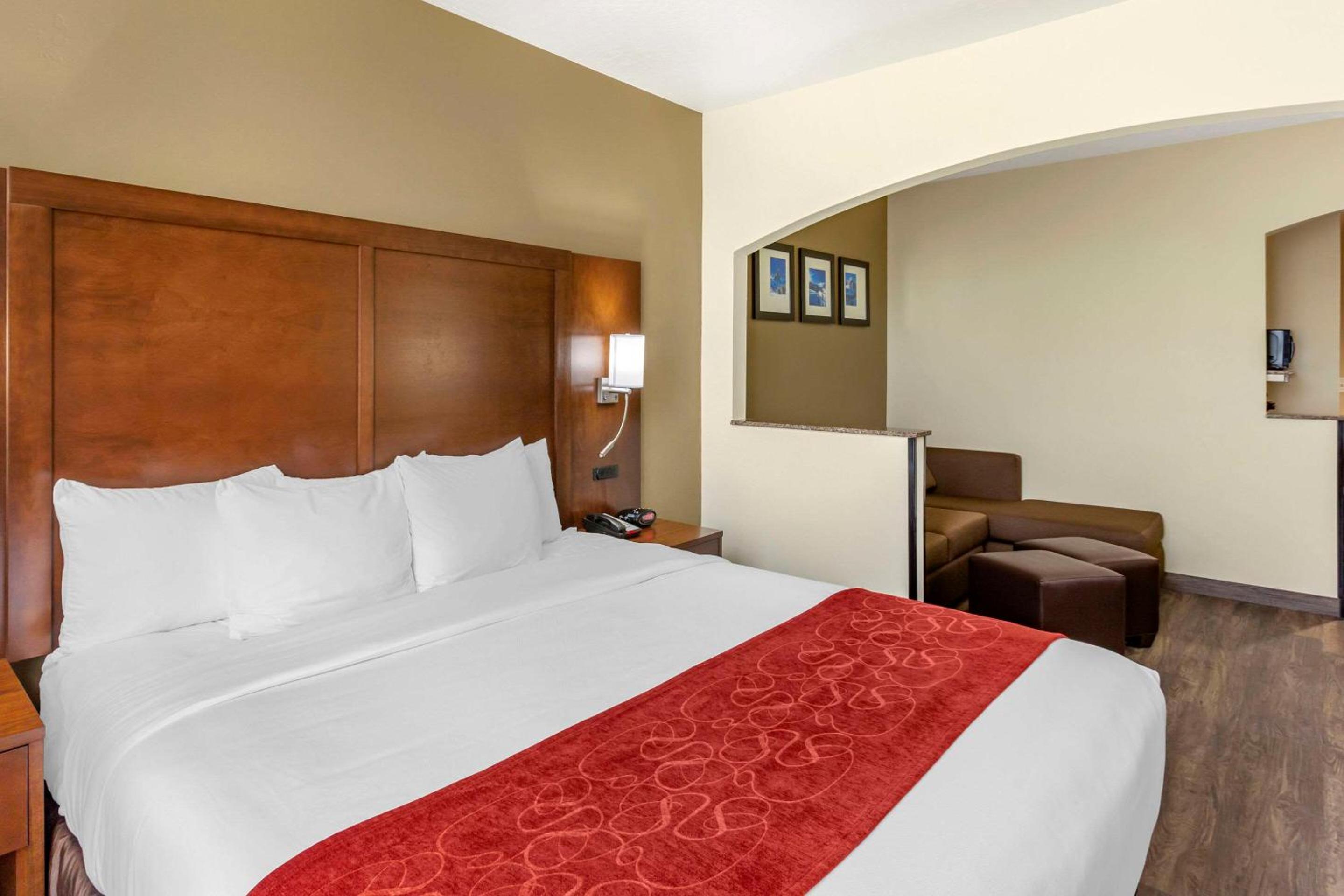 Efficiency King Suite - Non-Smoking/Pet Friendly  - Photo 3