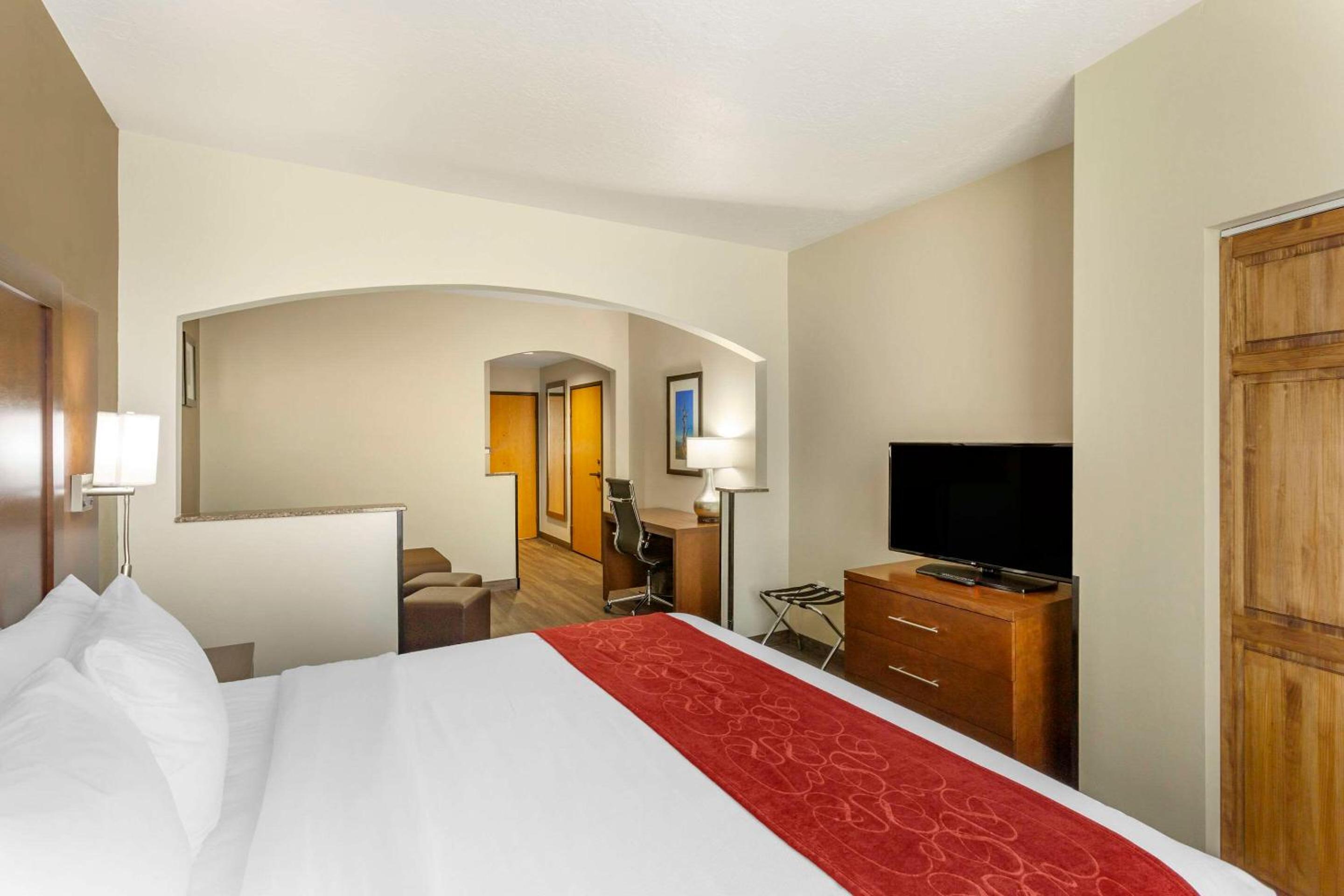 Efficiency King Suite - Non-Smoking/Pet Friendly  - Photo 5