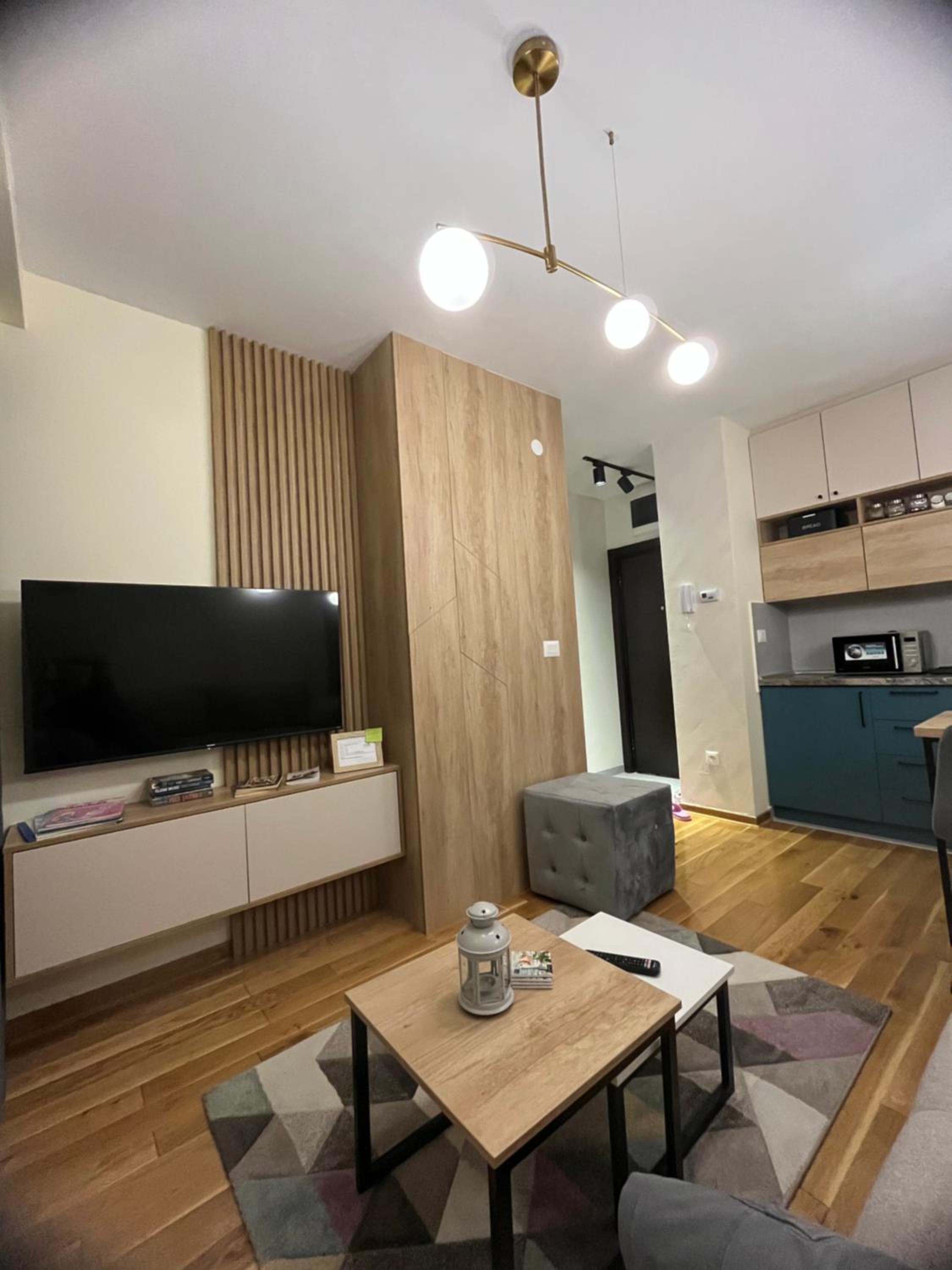 One-Bedroom Apartment photo 2