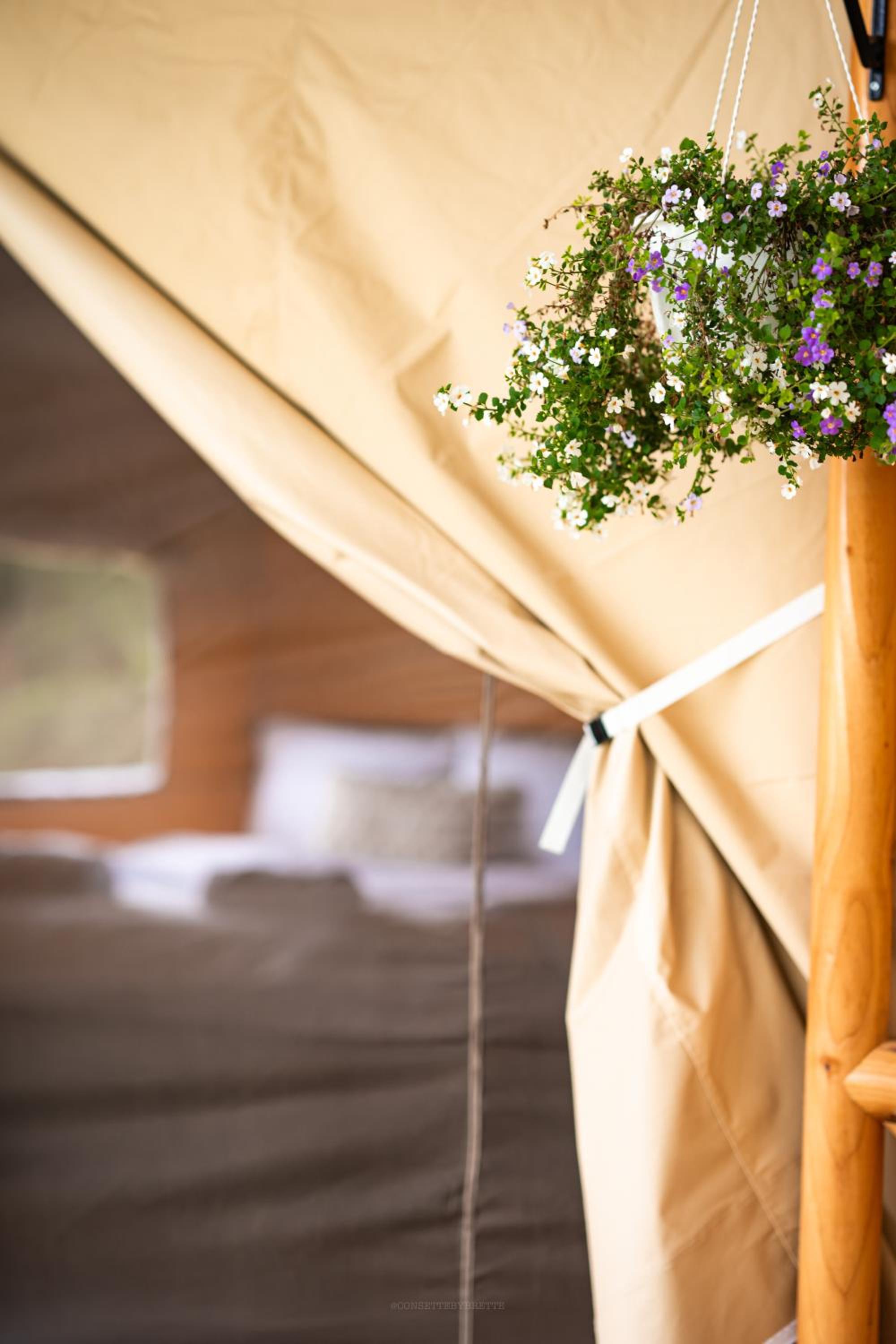 Tent photo 1