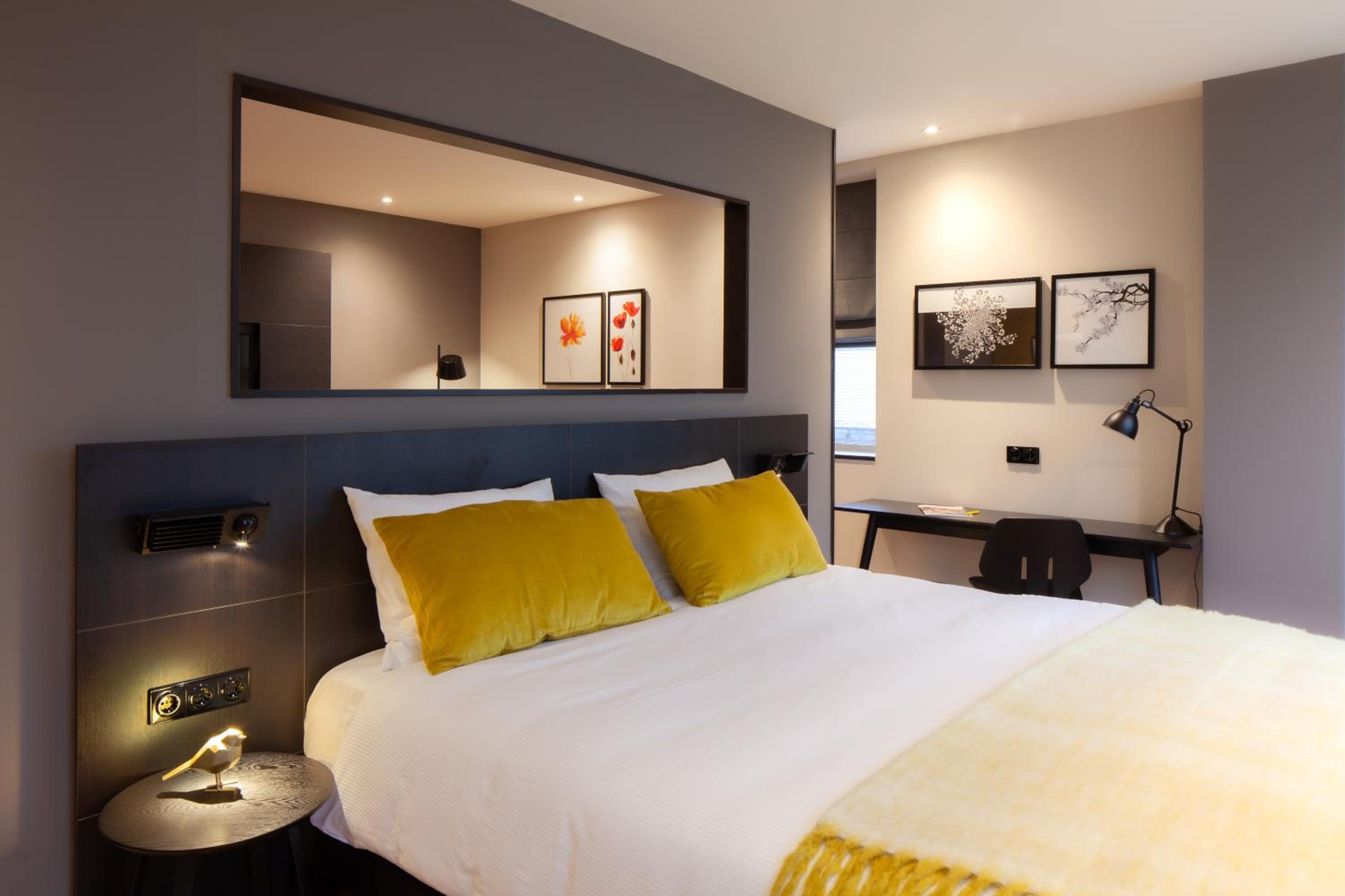 Suite - Photo 1