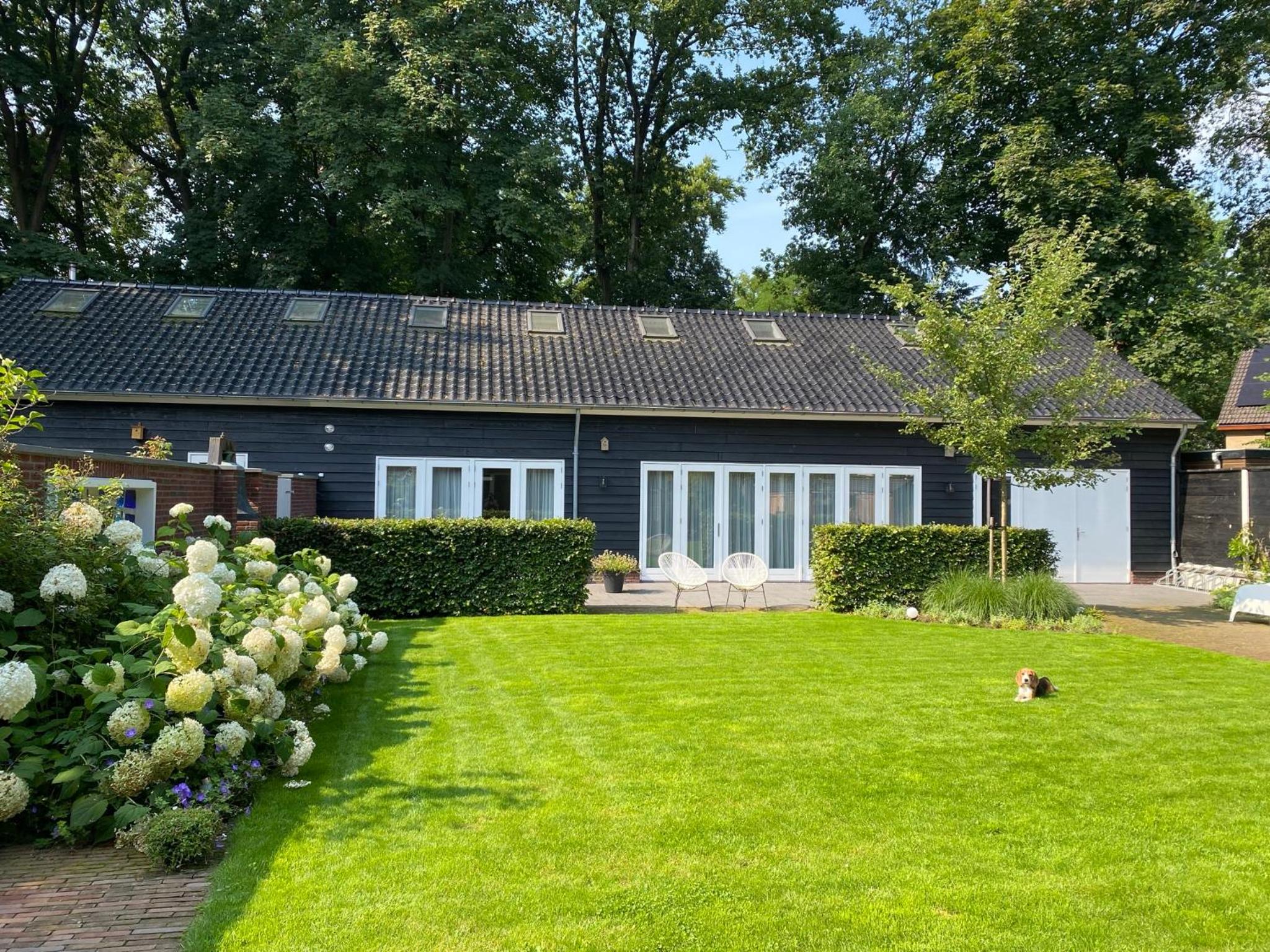 King Room with Garden View photo 1