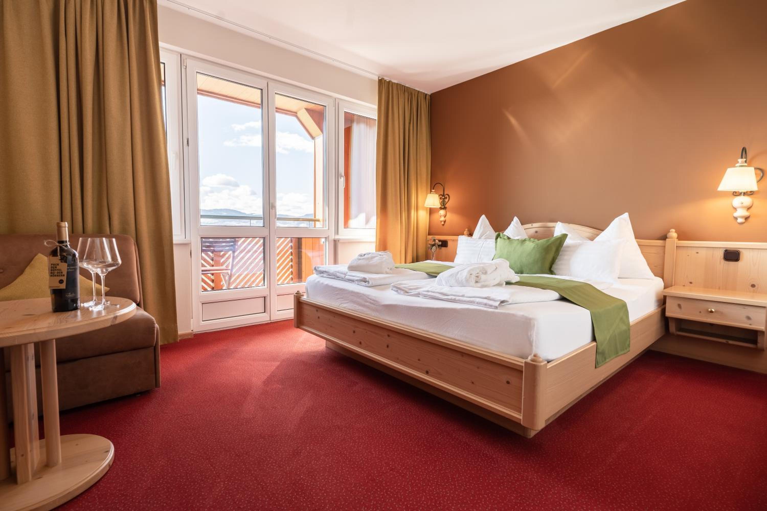 Panorama Double Room with Mountain View