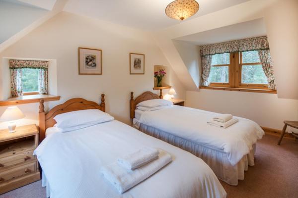 Four-Bedroom House photo 2