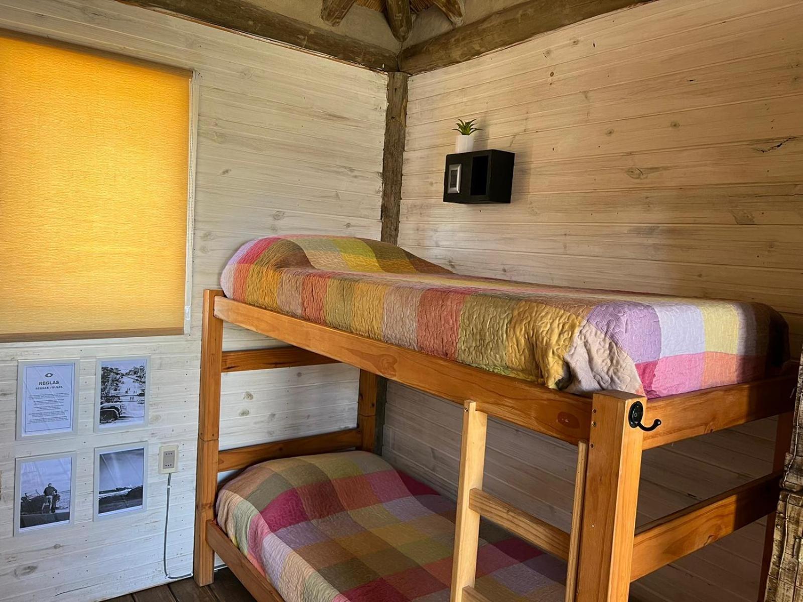 Bed in 4-Bed Mixed Dormitory Room photo 1