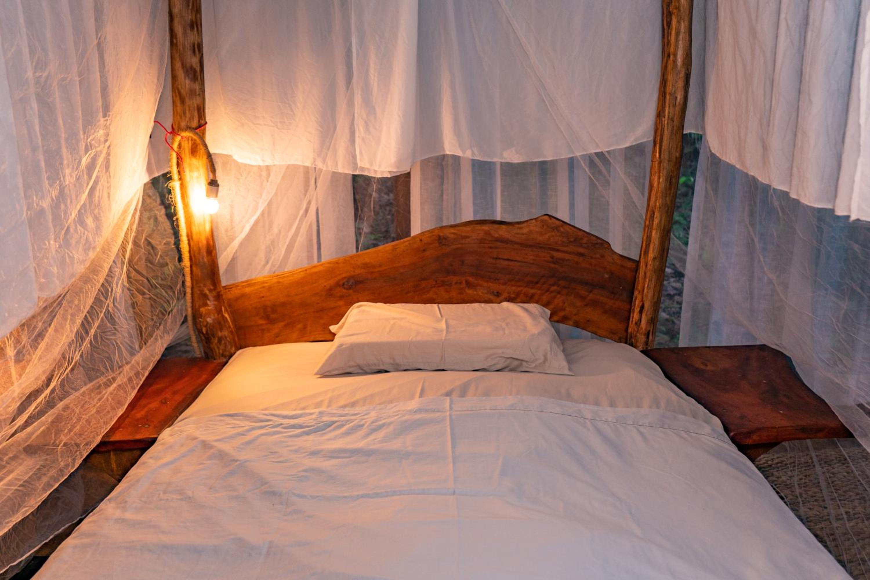 Double Room With Garden View