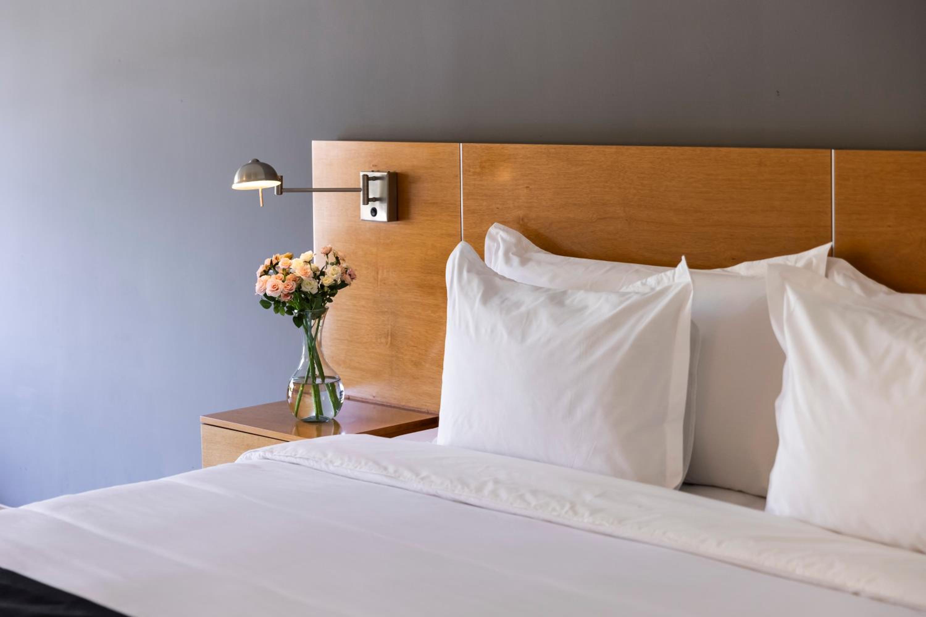 Suite photo 2