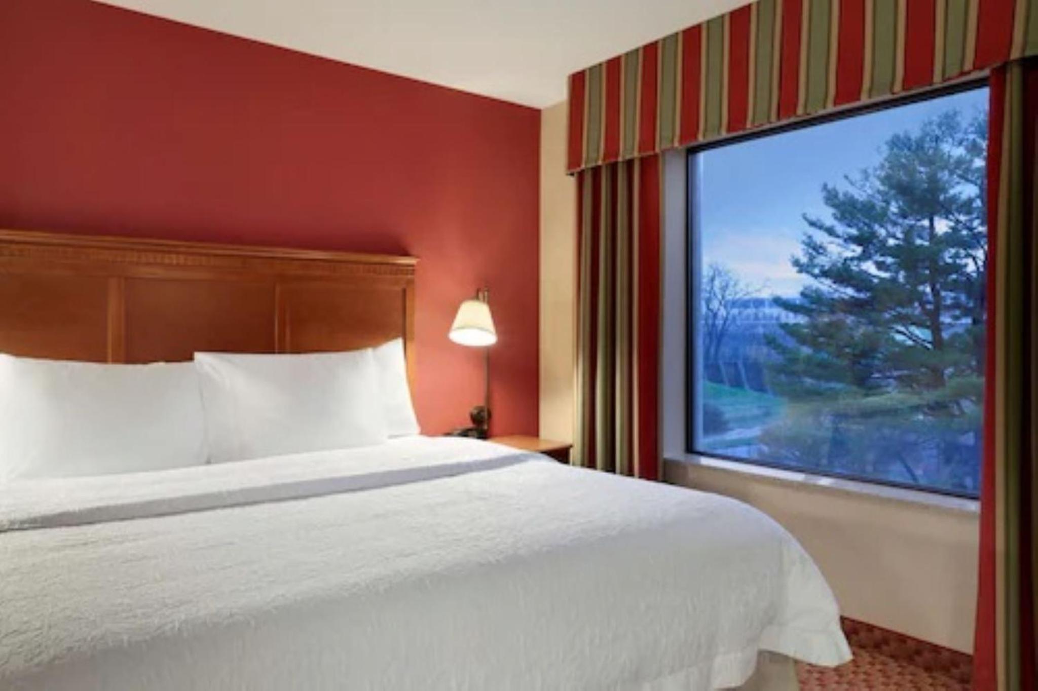 King Room with King Bed - Non-Smoking - Photo 3