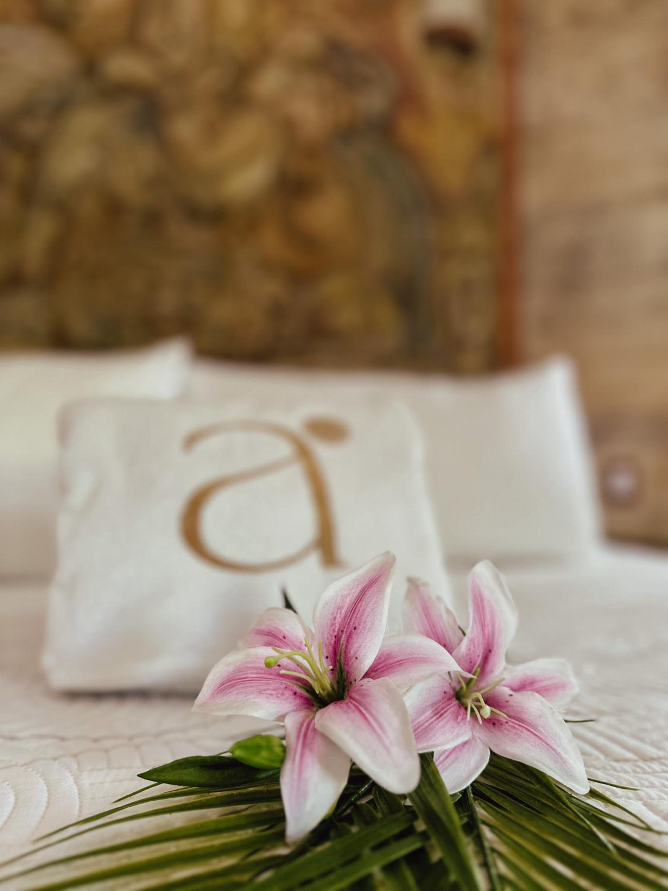 Suite photo 1