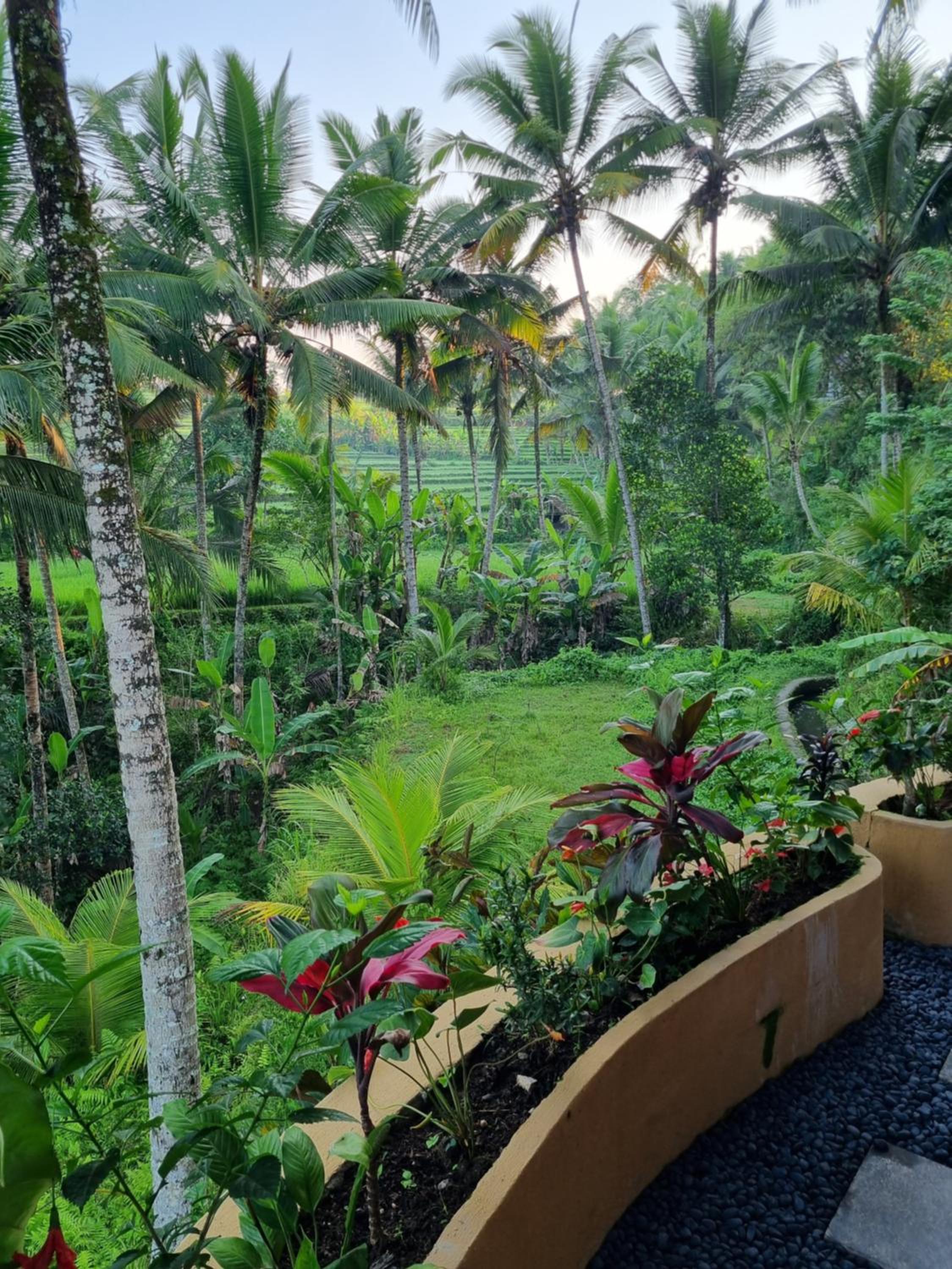 Two Bedroom Rice Terrace Pool Villa with Jacuzzi and Living Room photo 2