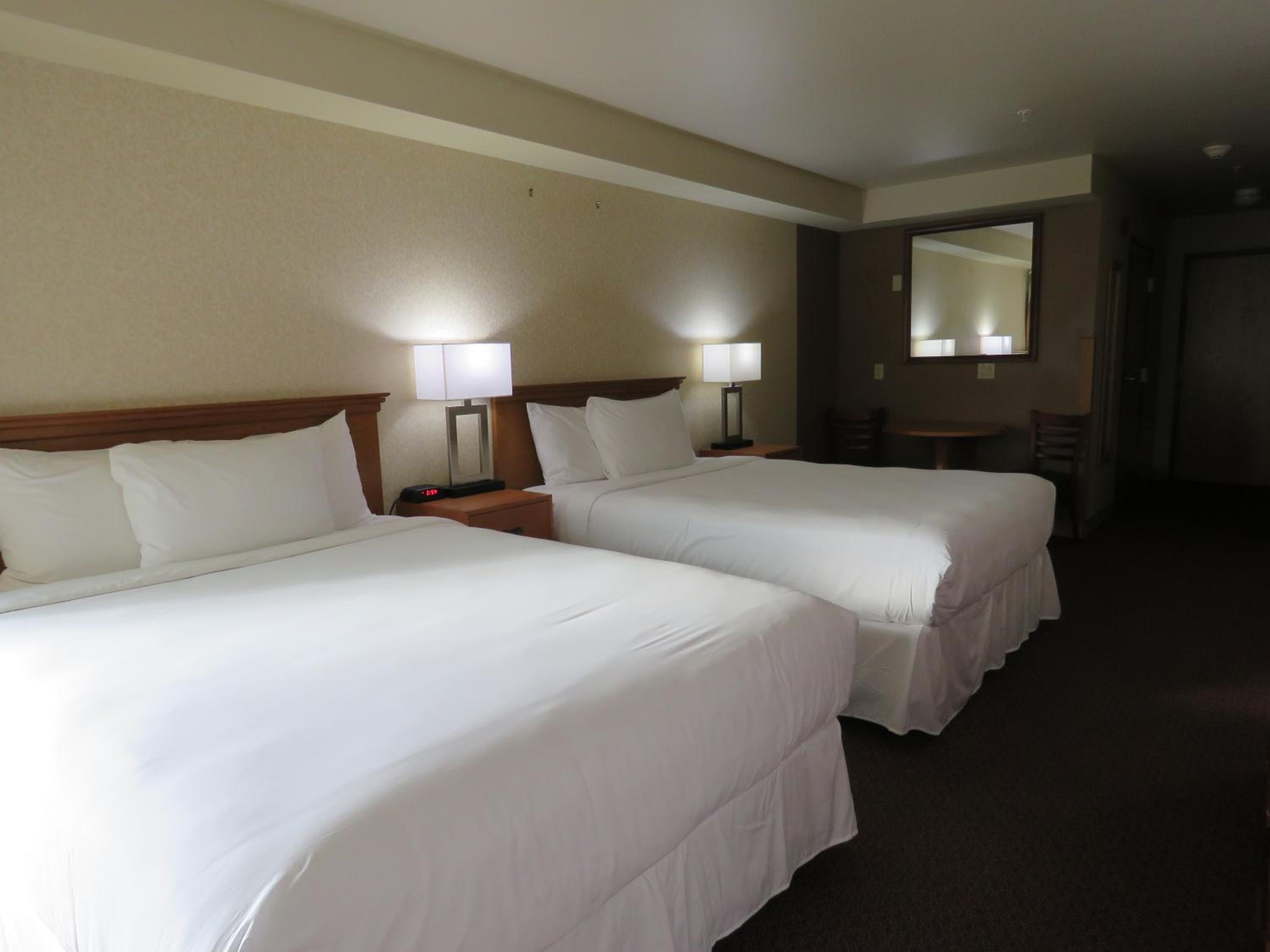 Queen Room with Two Queen Beds - Disability Access (Pet Friendly)