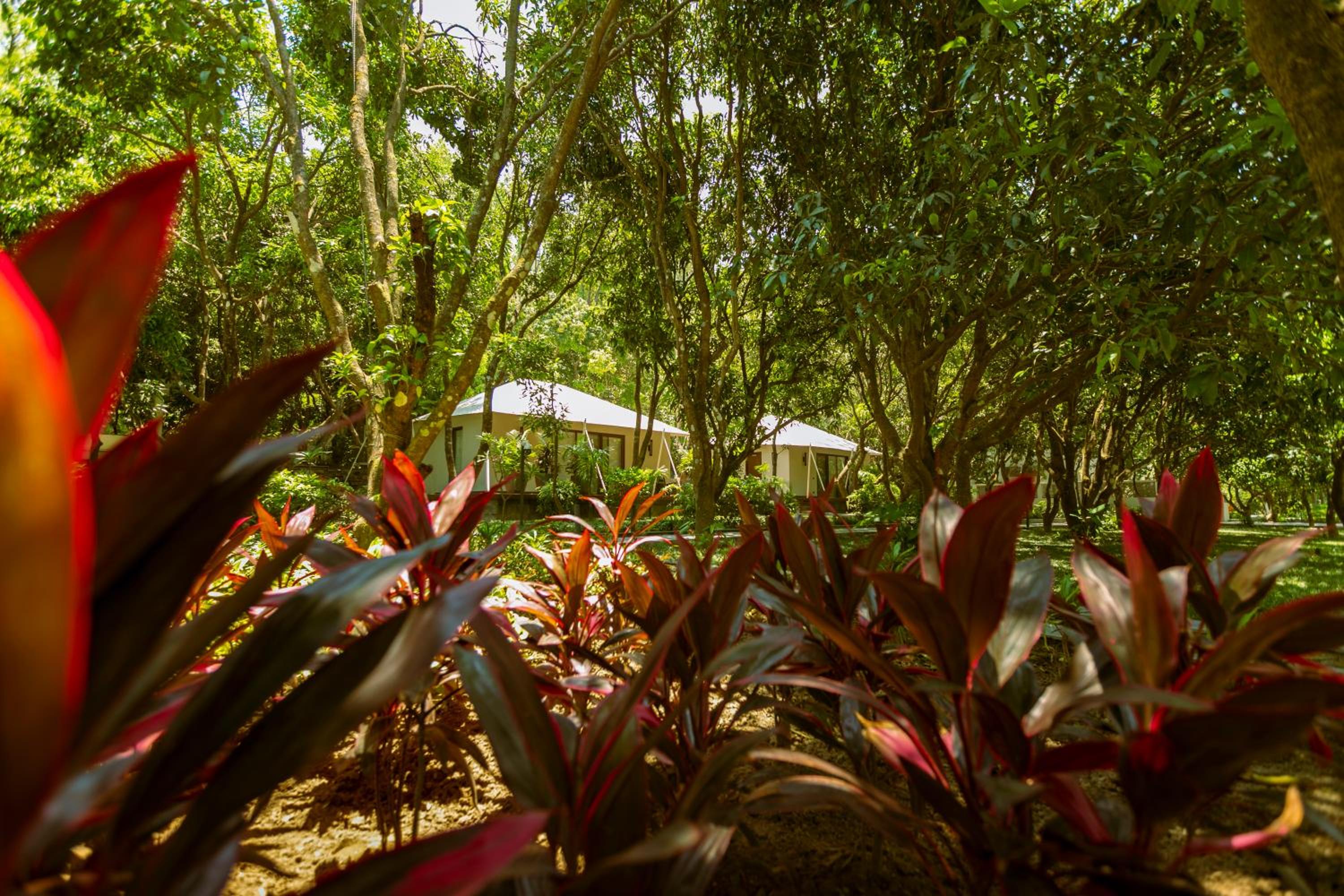 Tented Suite Ganges View